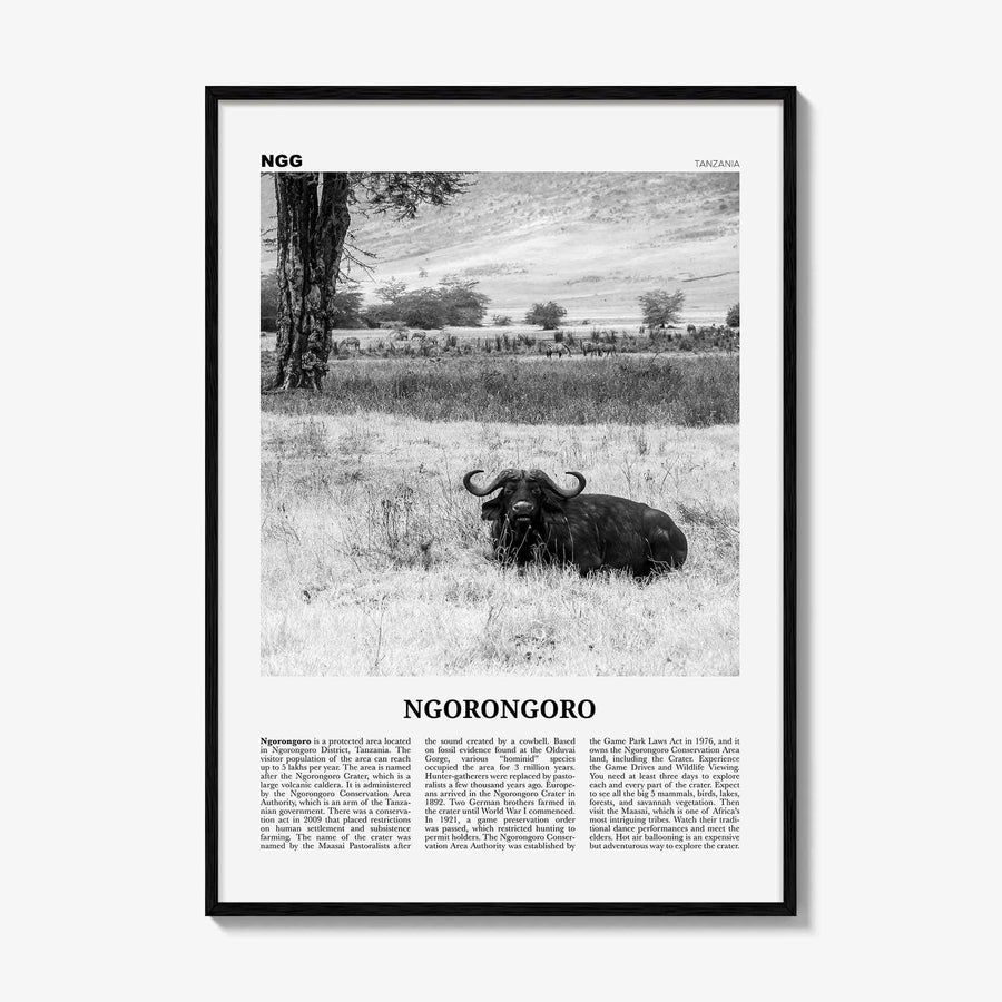 Ngorongoro Print Black and White, Ngorongoro Wall Art, Ngorongoro Poster, Ngorongoro Photo, Ngorongoro Wall Décor, Ngorongoro Map, Tanzania