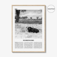 Ngorongoro Print Black and White, Ngorongoro Wall Art, Ngorongoro Poster, Ngorongoro Photo, Ngorongoro Wall Décor, Ngorongoro Map, Tanzania