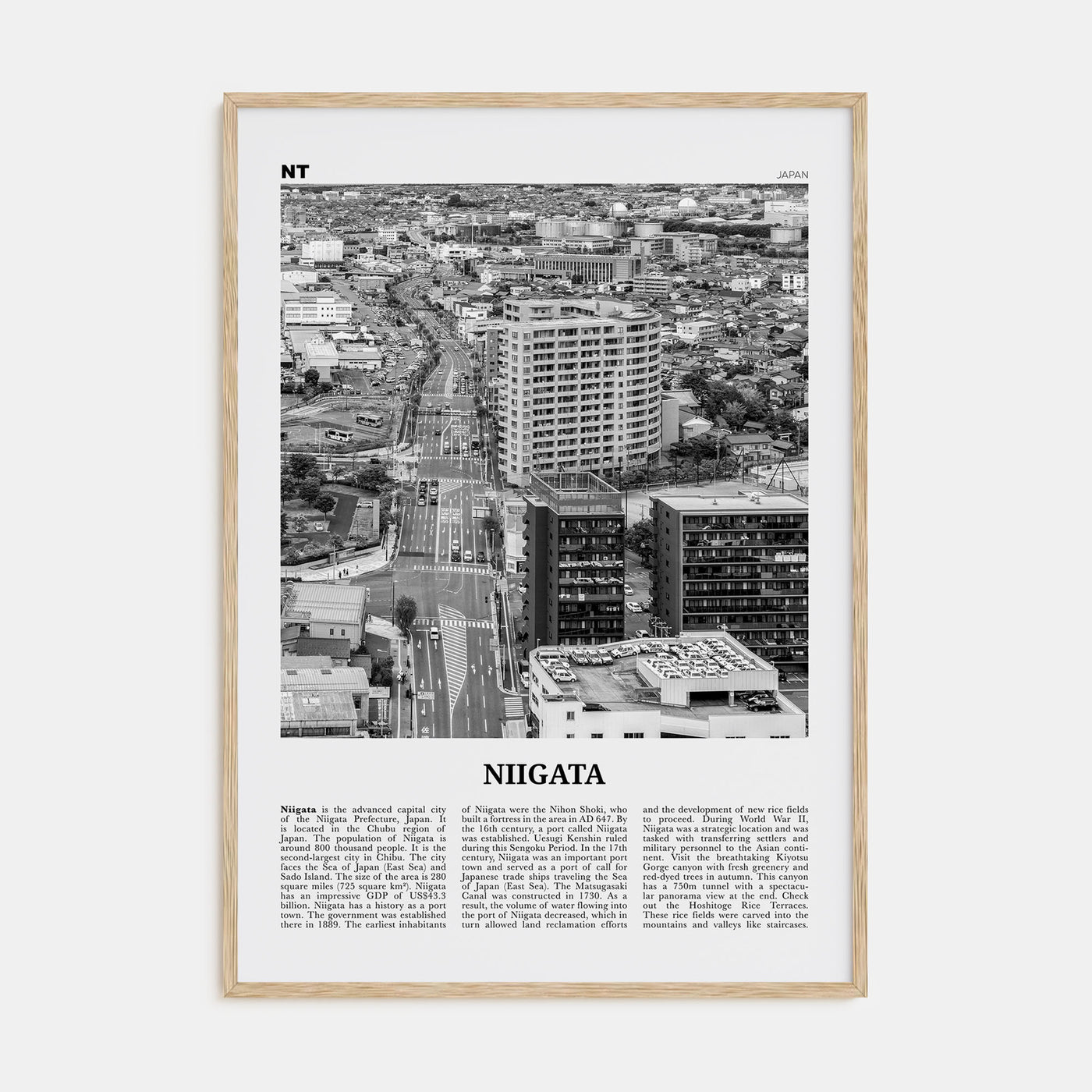 Niigata Travel B&W Poster