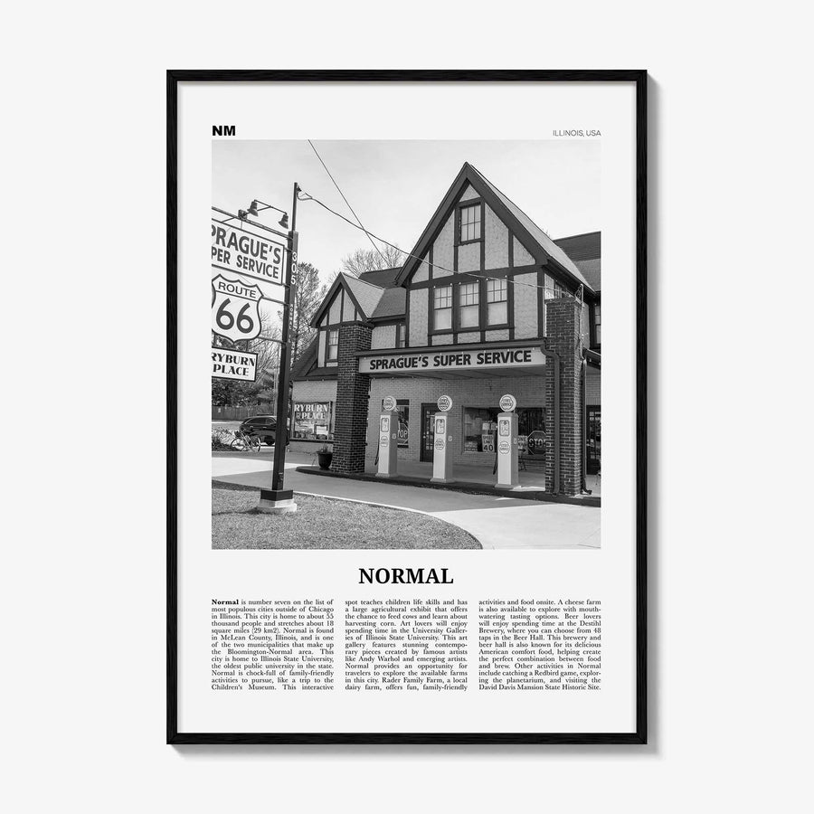 Normal Print Black and White, Normal Wall Art, Normal Poster, Normal Photo, Normal Wall Décor, Normal Map, Illinois, USA