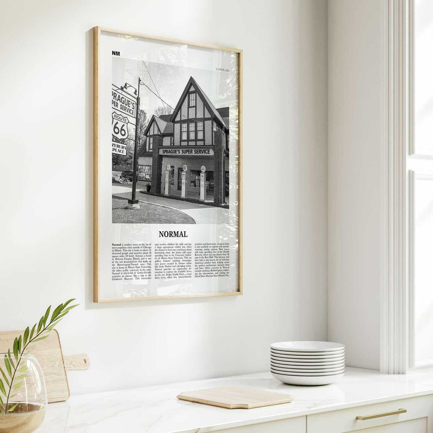 Normal Print Black and White, Normal Wall Art, Normal Poster, Normal Photo, Normal Wall Décor, Normal Map, Illinois, USA