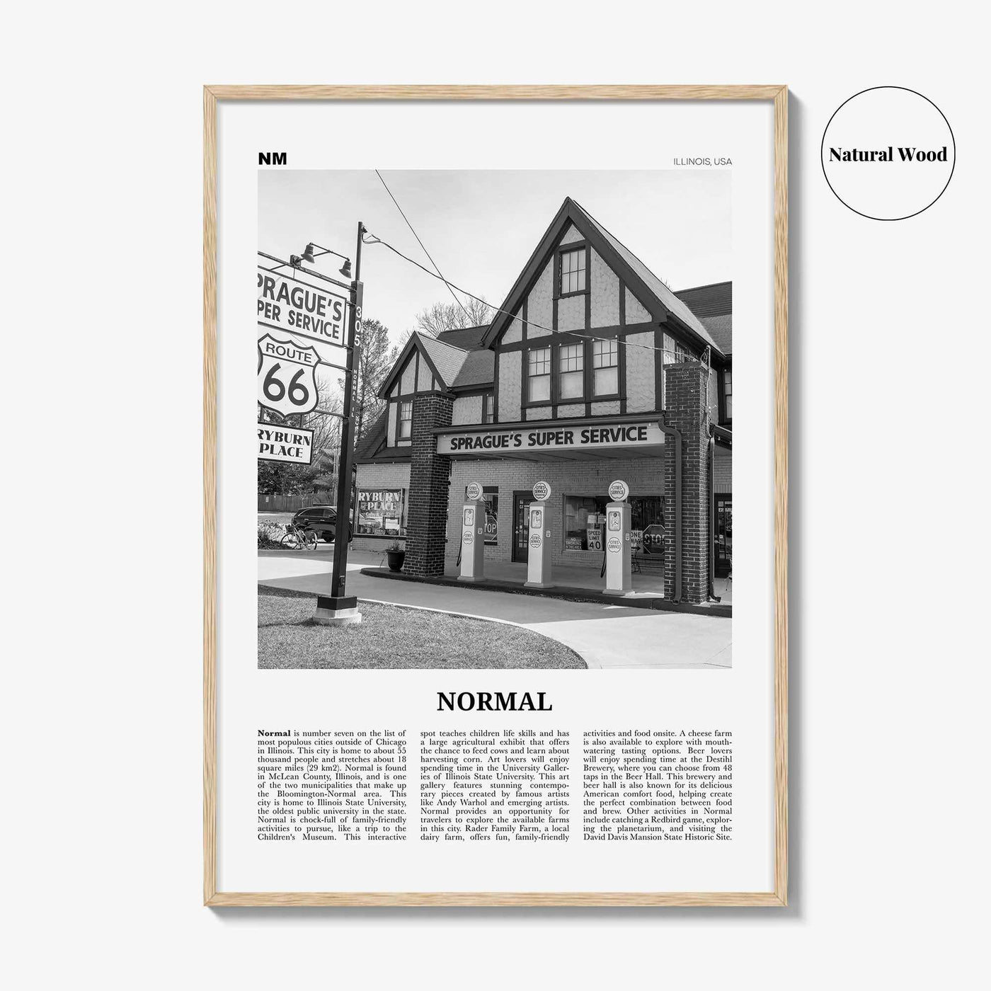 Normal Print Black and White, Normal Wall Art, Normal Poster, Normal Photo, Normal Wall Décor, Normal Map, Illinois, USA