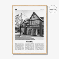 Normal Print Black and White, Normal Wall Art, Normal Poster, Normal Photo, Normal Wall Décor, Normal Map, Illinois, USA