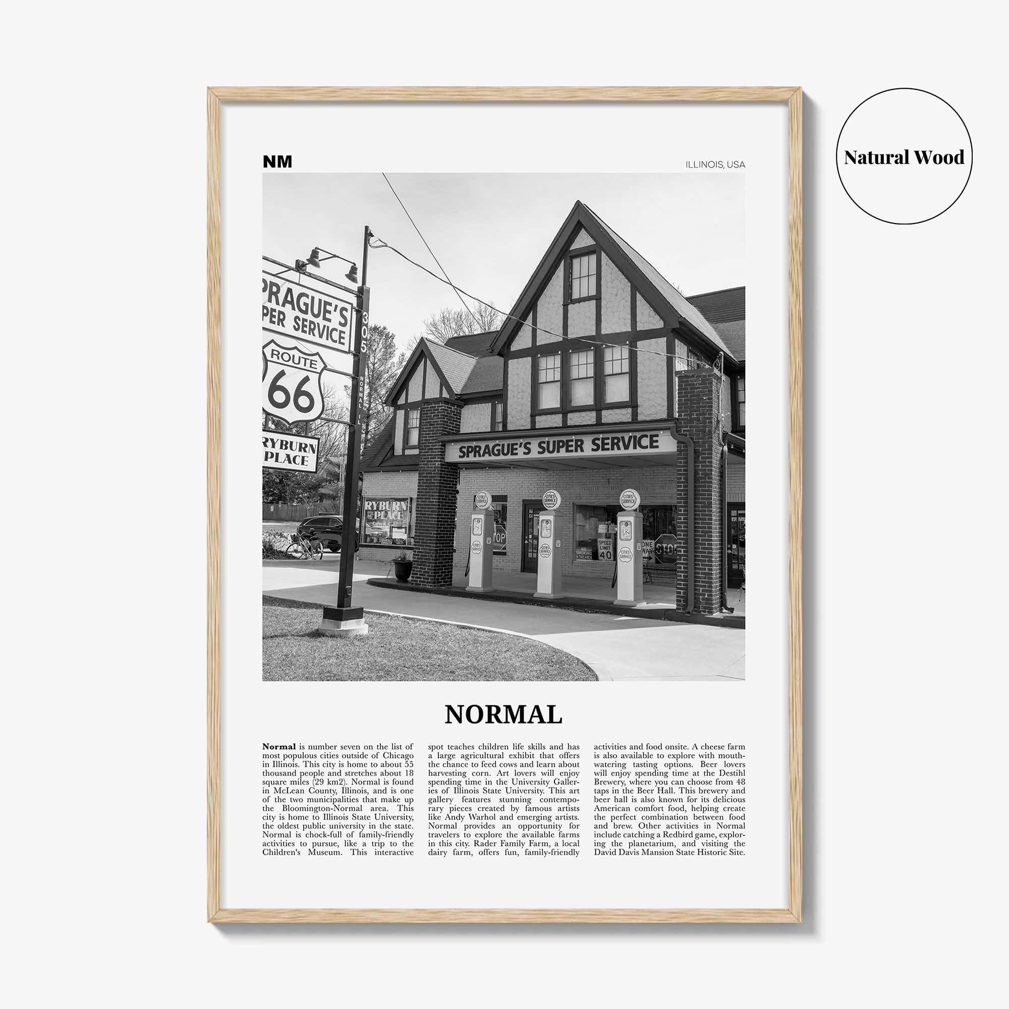 Normal Print Black and White, Normal Wall Art, Normal Poster, Normal Photo, Normal Wall Décor, Normal Map, Illinois, USA