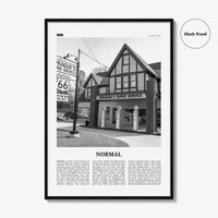 Normal Print Black and White, Normal Wall Art, Normal Poster, Normal Photo, Normal Wall Décor, Normal Map, Illinois, USA
