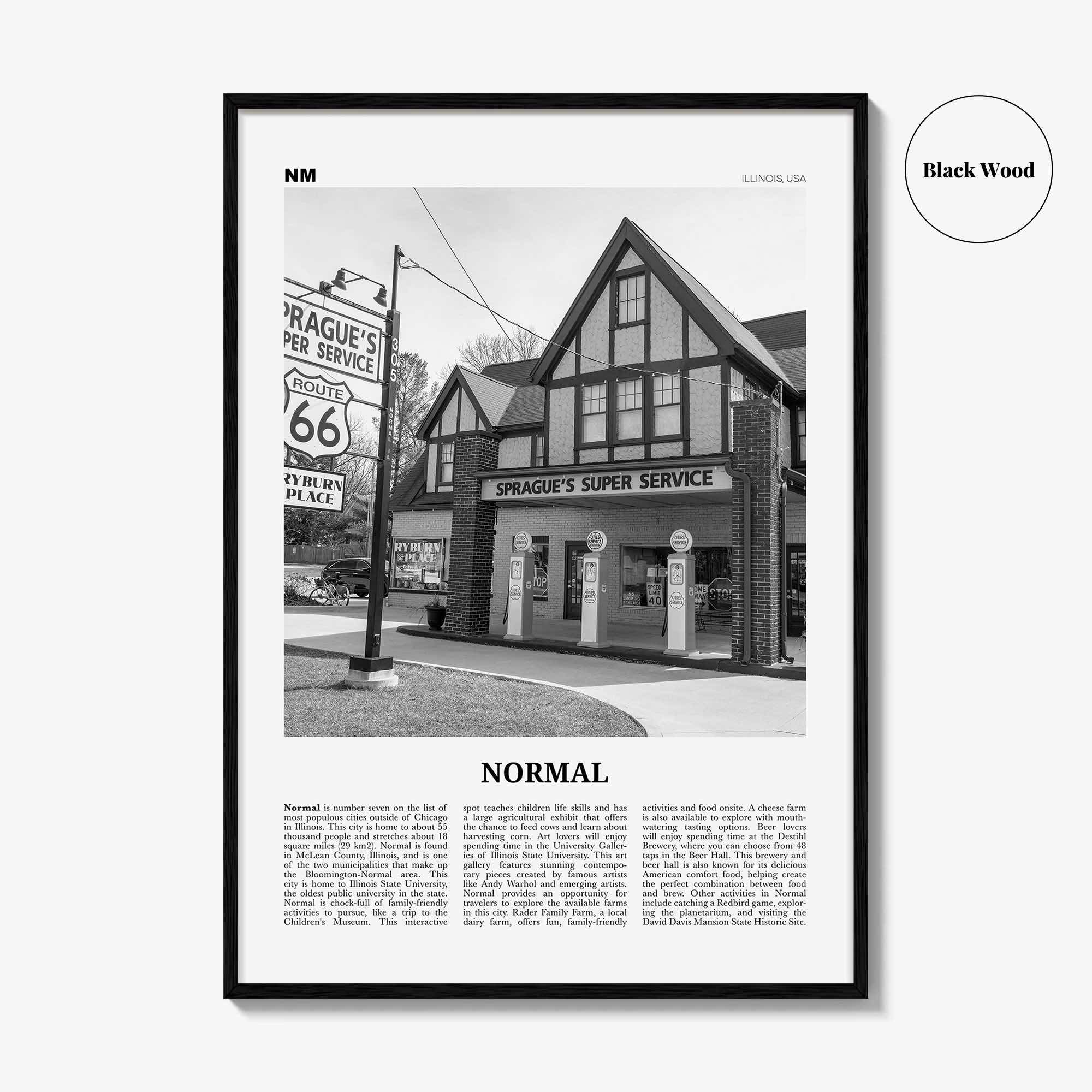 Normal Print Black and White, Normal Wall Art, Normal Poster, Normal Photo, Normal Wall Décor, Normal Map, Illinois, USA