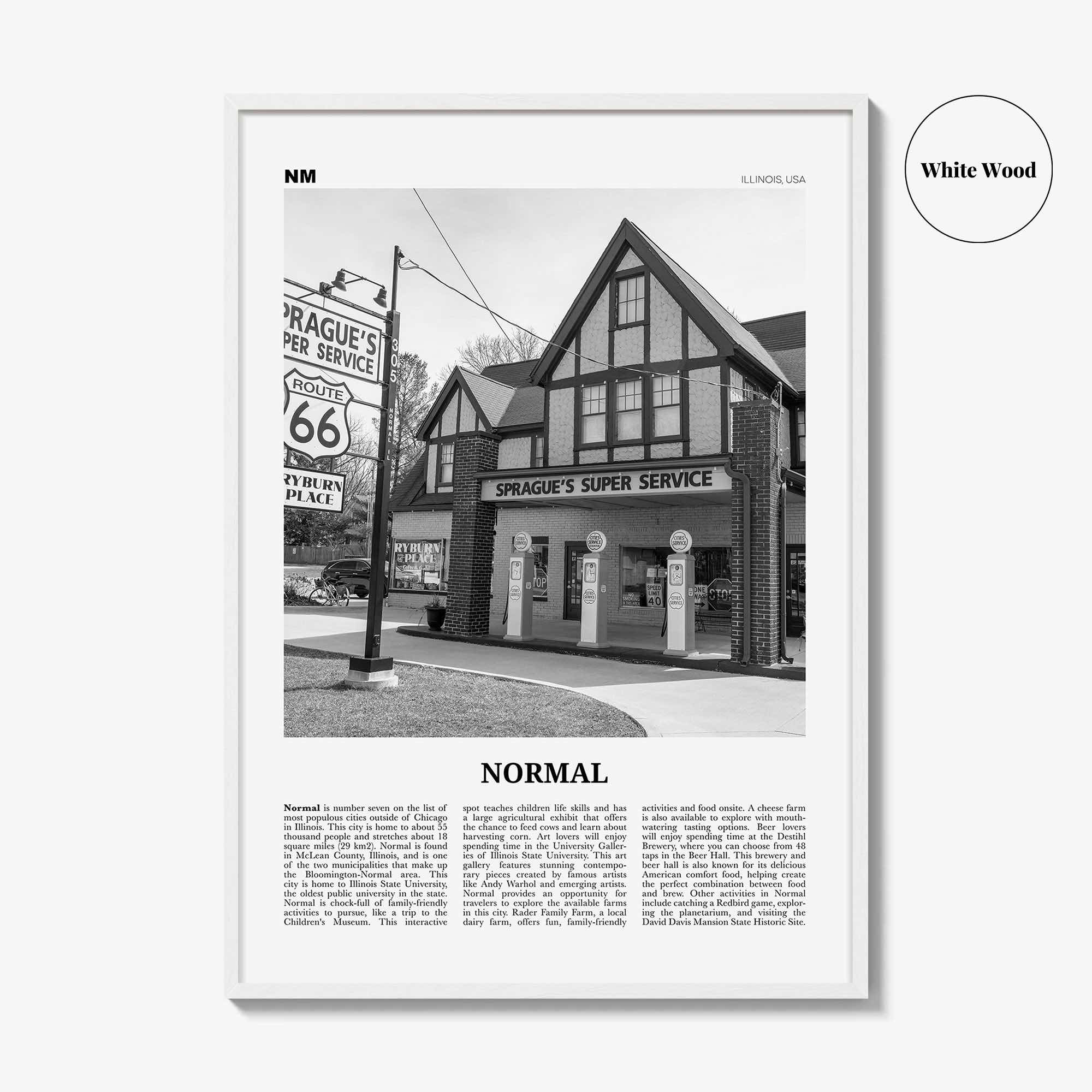 Normal Print Black and White, Normal Wall Art, Normal Poster, Normal Photo, Normal Wall Décor, Normal Map, Illinois, USA