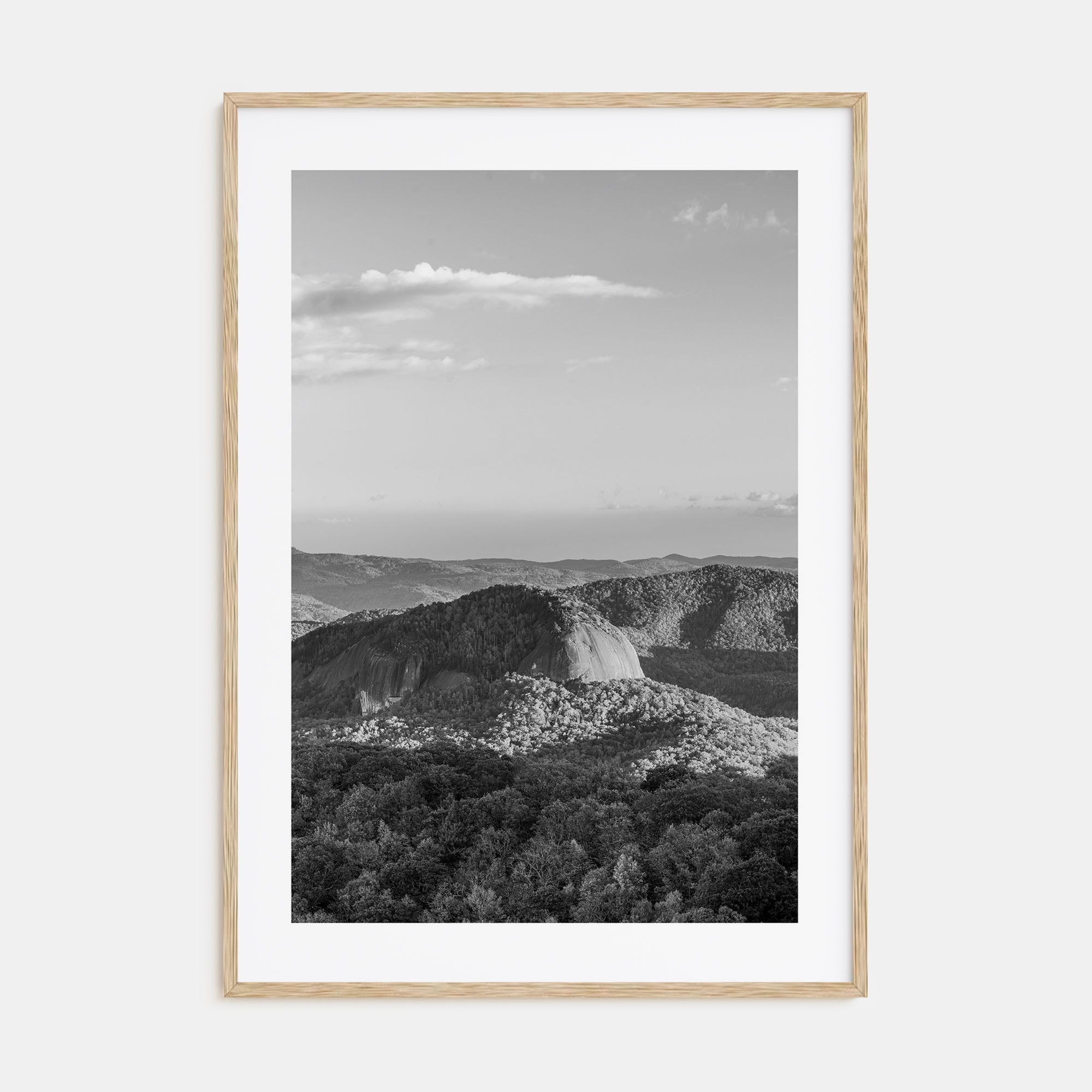 North Carolina Photo B&W No 1 Poster