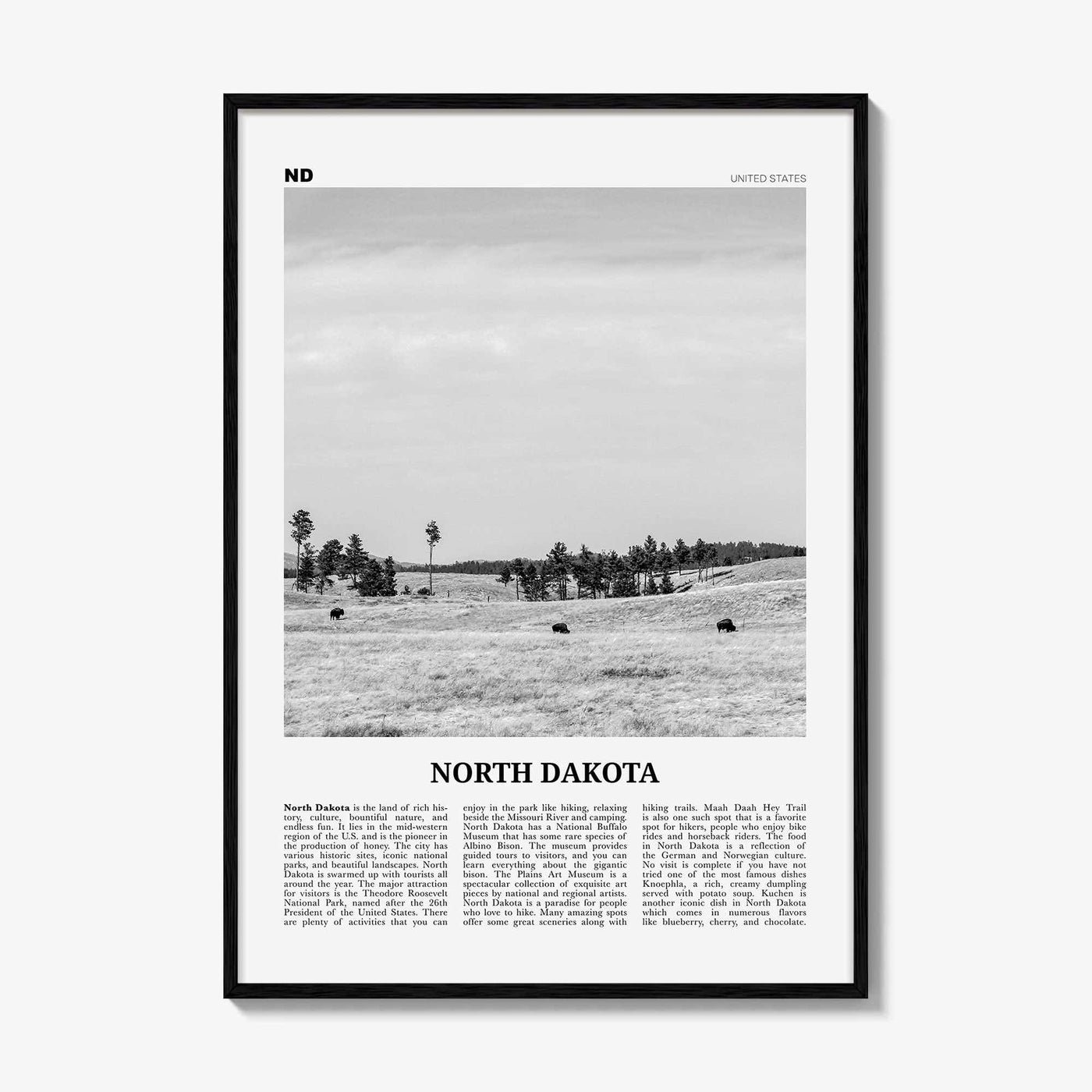 North Dakota Print Black and White No 2, North Dakota Wall Art, North Dakota Poster, North Dakota Photo, USA, United States