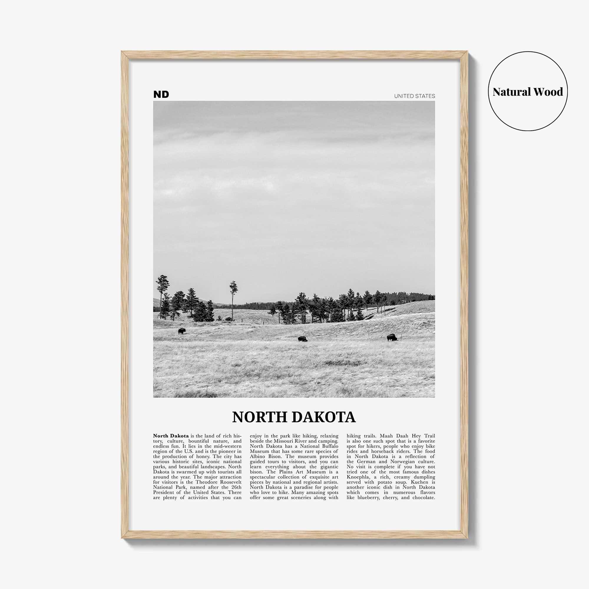 North Dakota Print Black and White No 2, North Dakota Wall Art, North Dakota Poster, North Dakota Photo, USA, United States