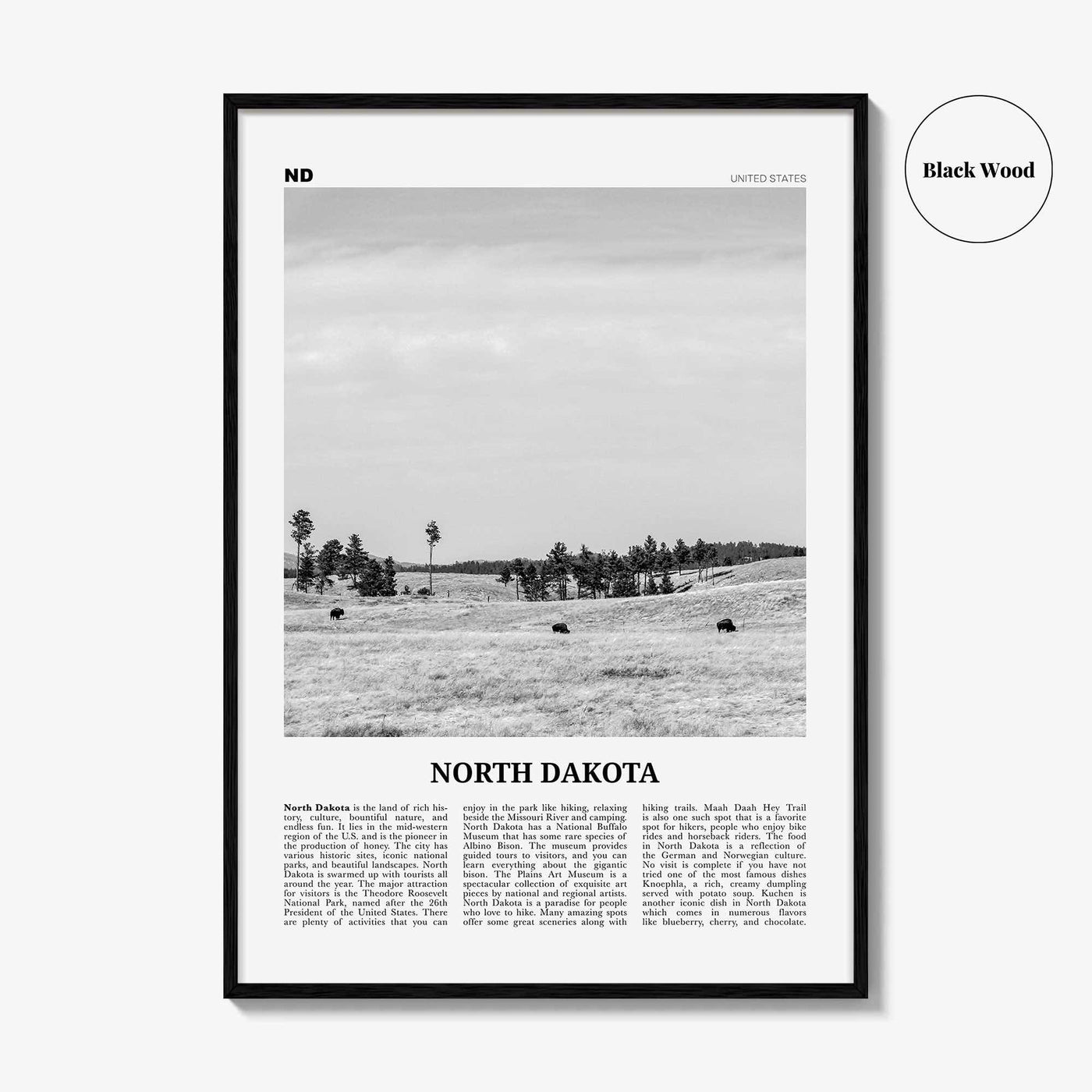 North Dakota Print Black and White No 2, North Dakota Wall Art, North Dakota Poster, North Dakota Photo, USA, United States