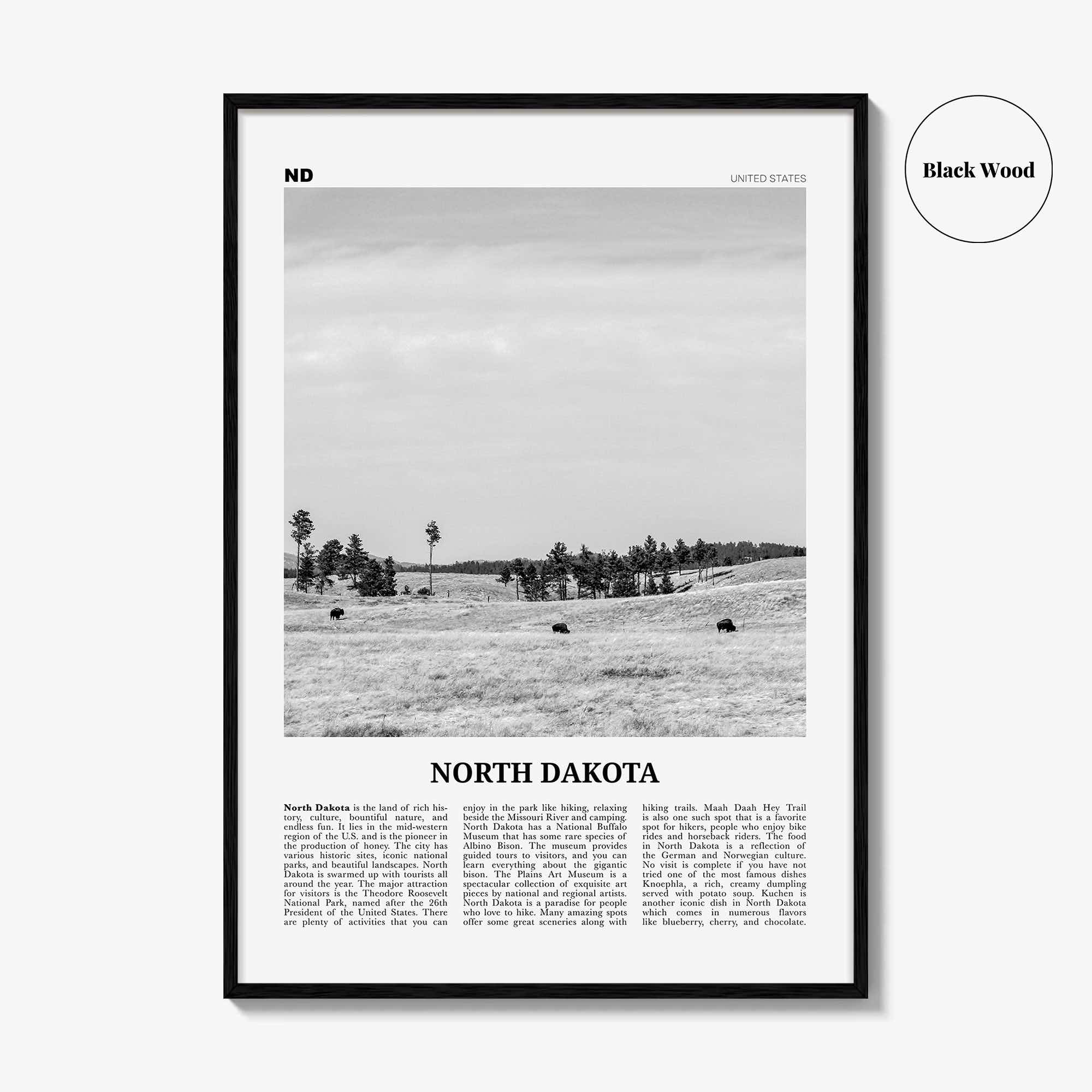 North Dakota Print Black and White No 2, North Dakota Wall Art, North Dakota Poster, North Dakota Photo, USA, United States