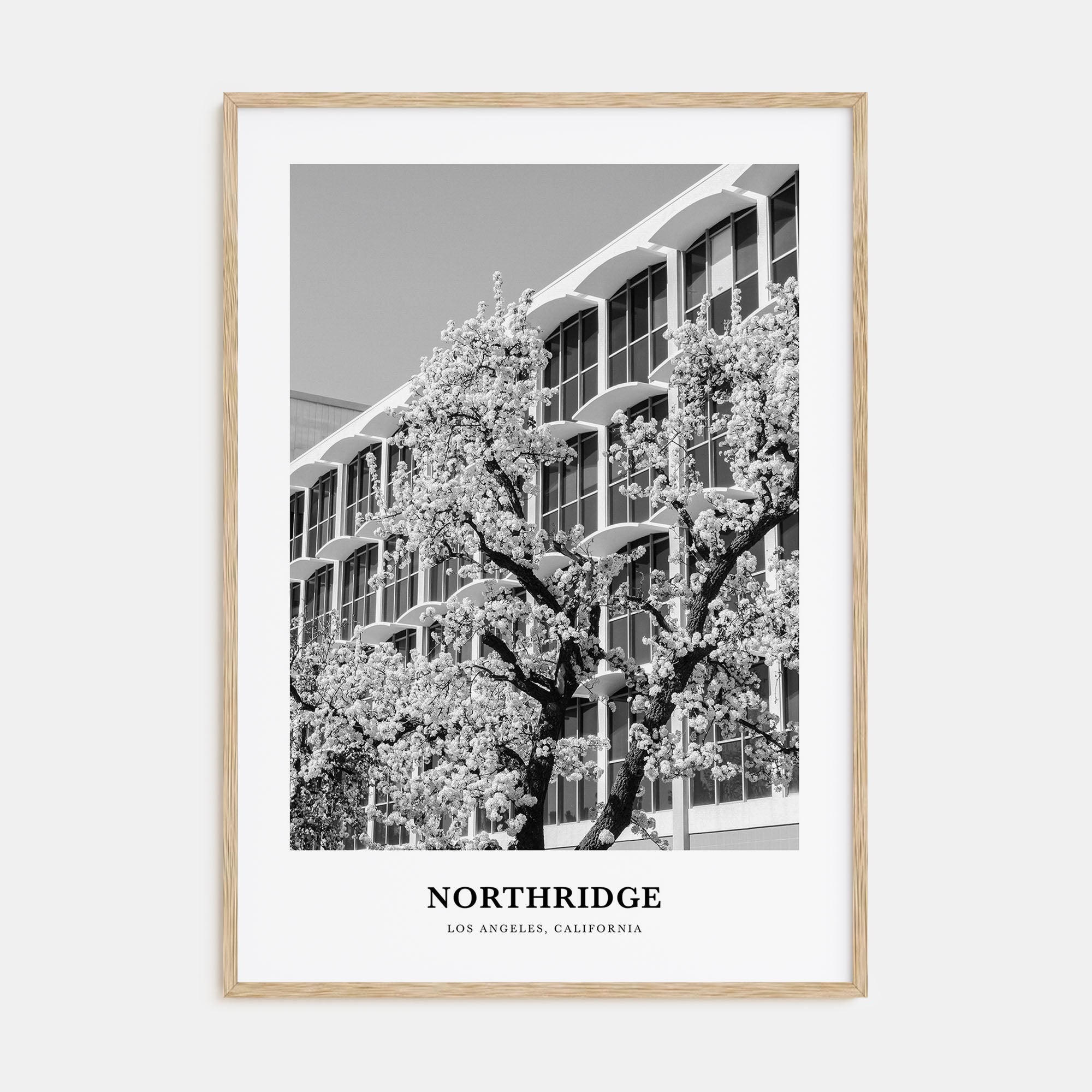 Northridge Portrait B&W Poster