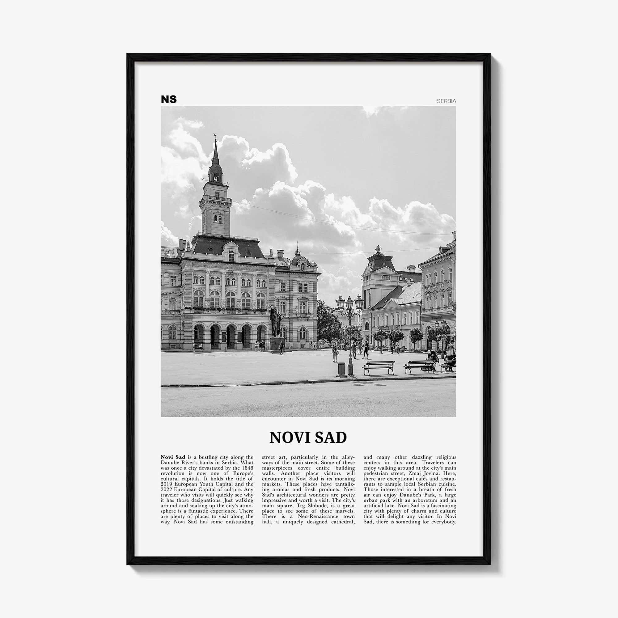 Novi Sad Print Black and White, Novi Sad Wall Art, Novi Sad Poster, Novi Sad Photo, Novi Sad Wall Décor, Serbia, Нови, Сад, Újvidék
