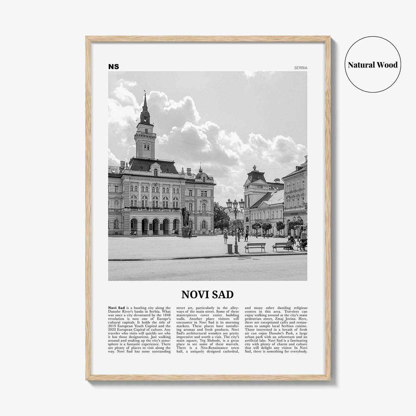 Novi Sad Print Black and White, Novi Sad Wall Art, Novi Sad Poster, Novi Sad Photo, Novi Sad Wall Décor, Serbia, Нови, Сад, Újvidék