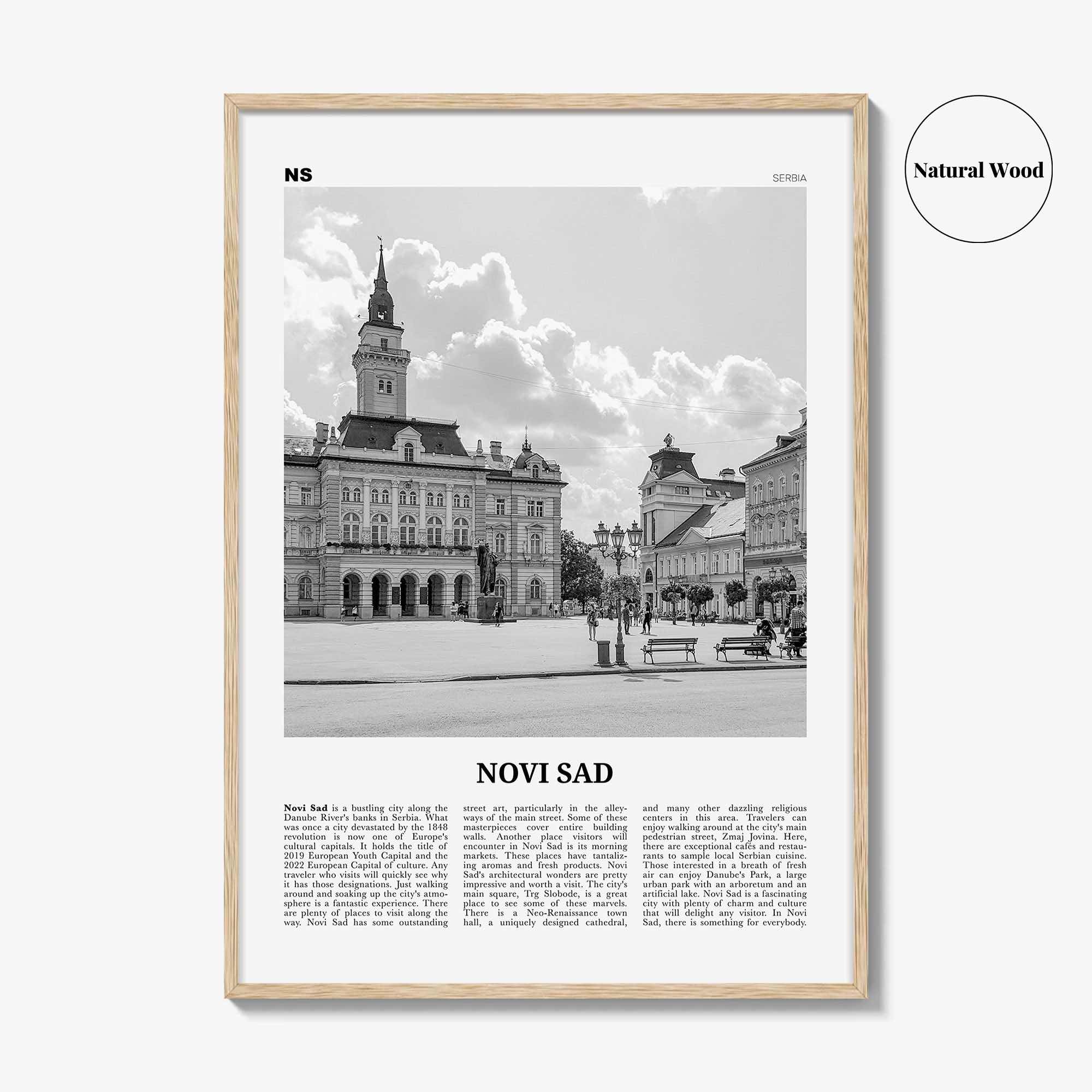 Novi Sad Print Black and White, Novi Sad Wall Art, Novi Sad Poster, Novi Sad Photo, Novi Sad Wall Décor, Serbia, Нови, Сад, Újvidék
