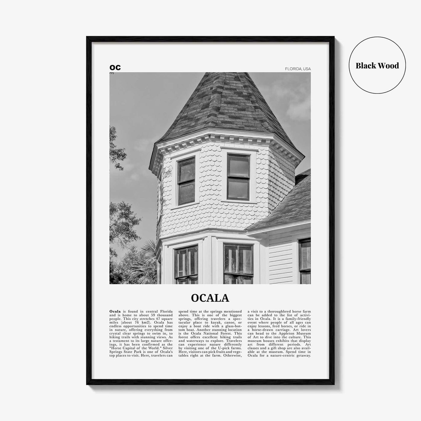 Ocala Print Black and White, Ocala Wall Art, Ocala Poster, Ocala Photo, Ocala Wall Décor, Ocala Map, Florida, USA