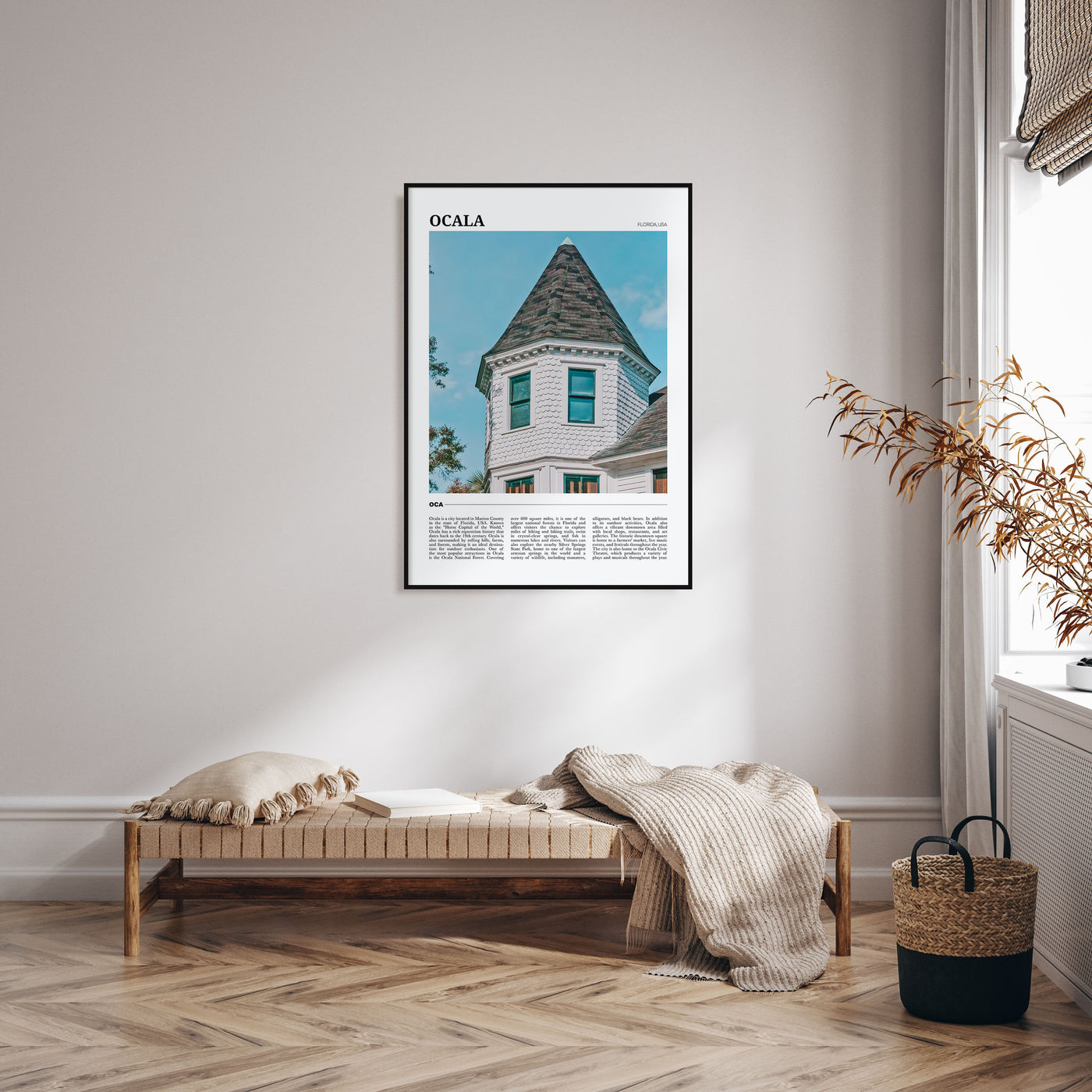 Ocala Travel Color Poster