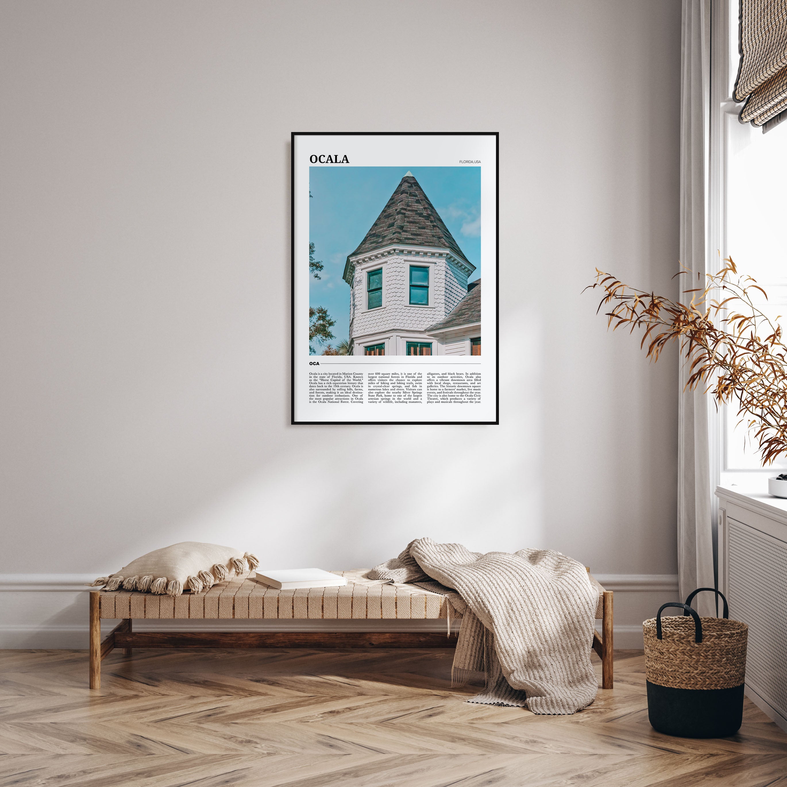 Ocala Travel Color Poster