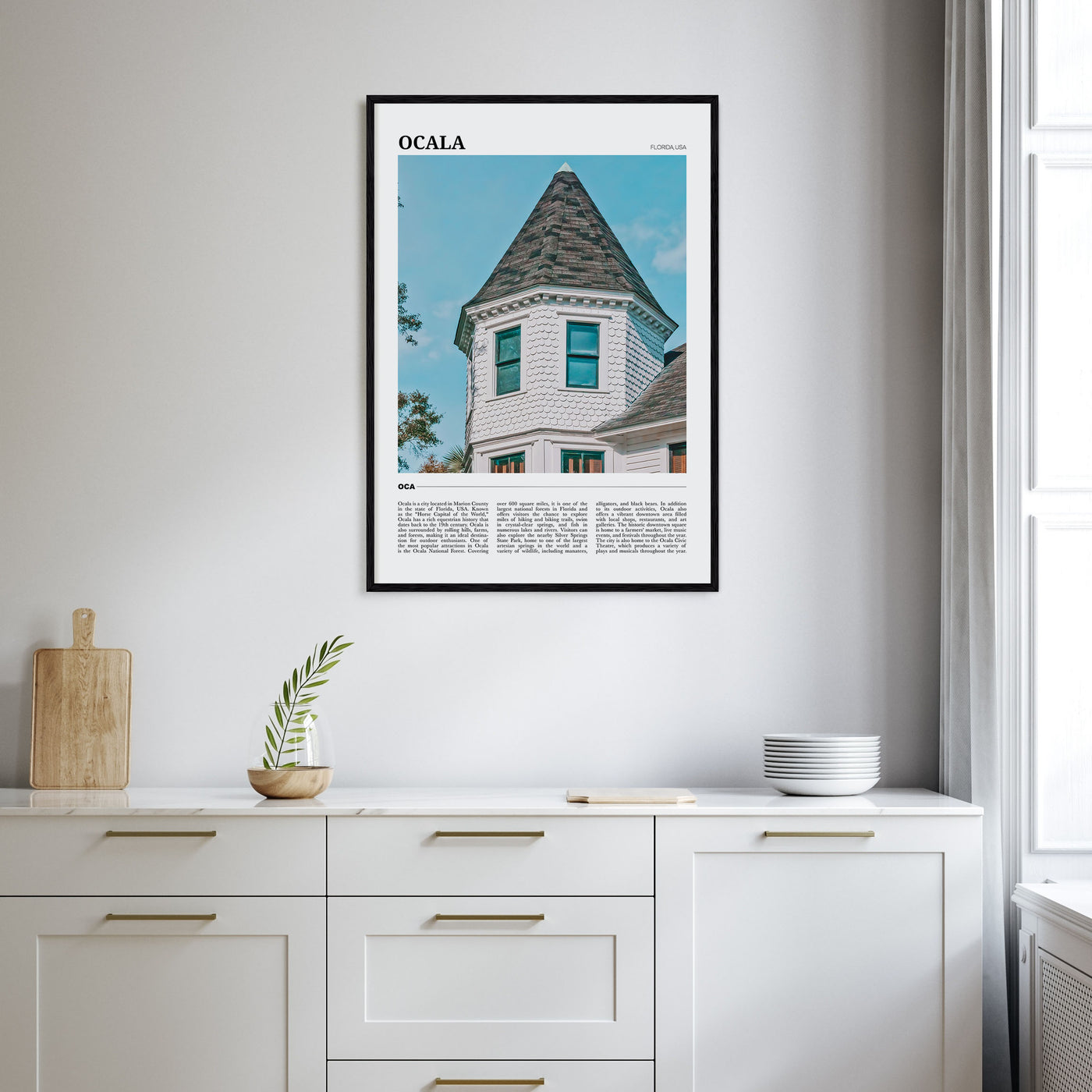 Ocala Travel Color Poster