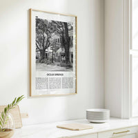 Ocean Springs Print Black and White, Ocean Springs Wall Art, Ocean Springs Poster, Ocean Springs Photo, Springs Wall Décor, Mississippi, USA