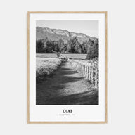 Ojai Portrait B&W Poster