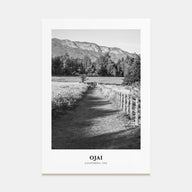 Ojai Portrait B&W Poster