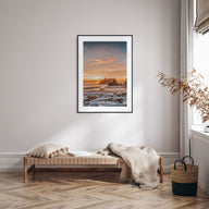Olympic National Park Photo Color Poster