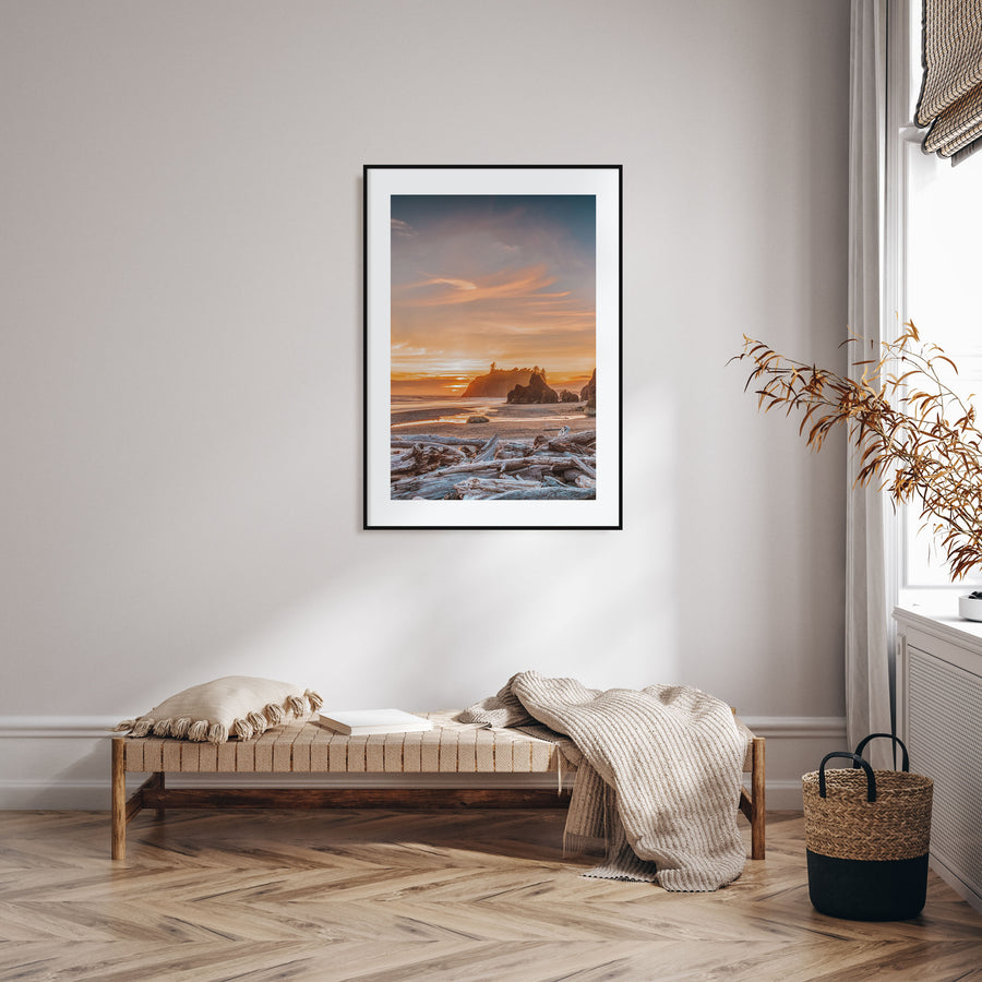 Olympic National Park Photo Color Poster