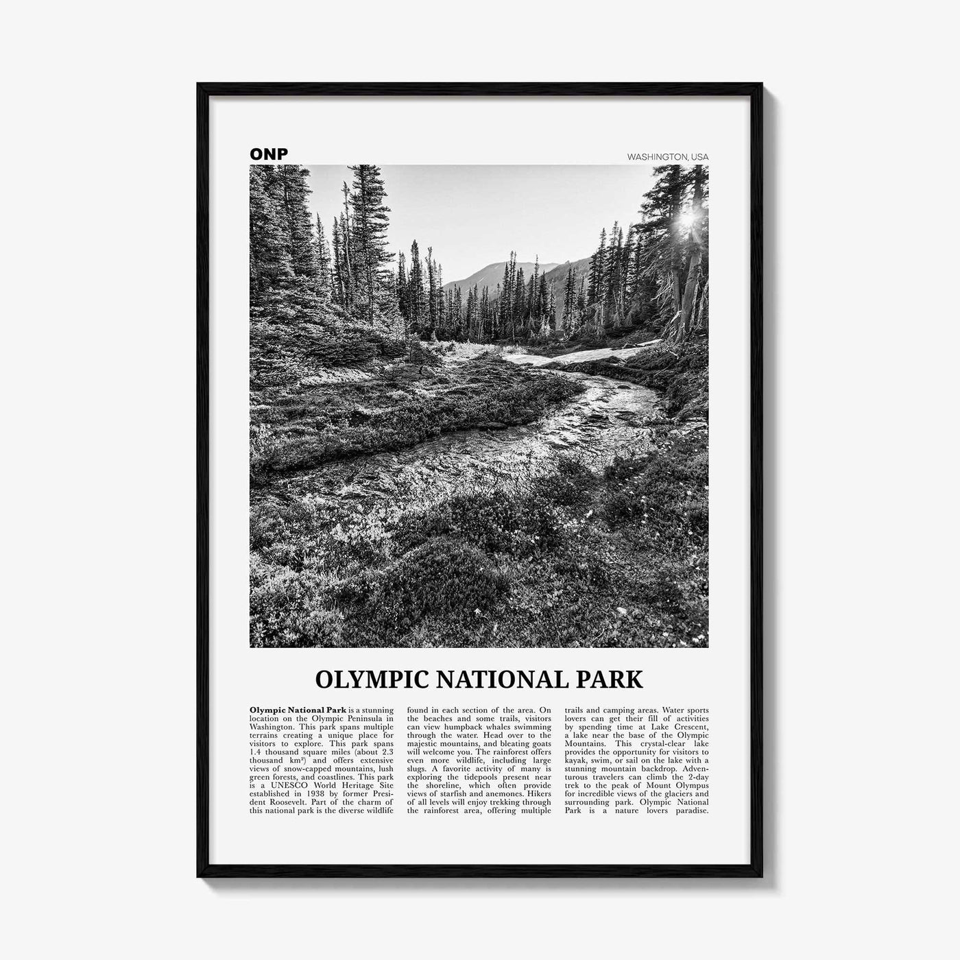Olympic National Park Print Black and White, Olympic Wall Art, Olympic Poster, Olympic Photo, Olympic Wall Décor, Washington, USA