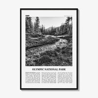 Olympic National Park Print Black and White, Olympic Wall Art, Olympic Poster, Olympic Photo, Olympic Wall Décor, Washington, USA
