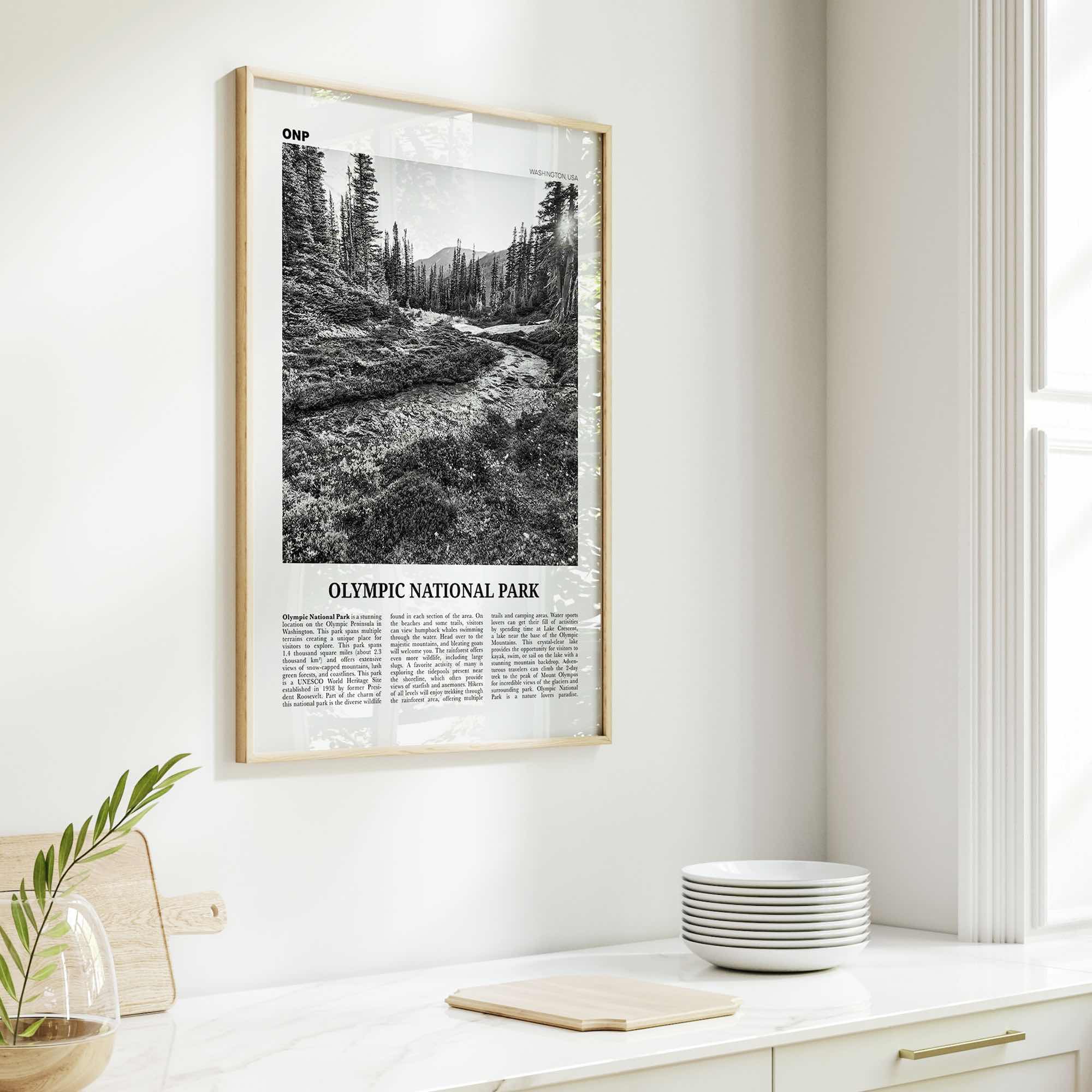 Olympic National Park Print Black and White, Olympic Wall Art, Olympic Poster, Olympic Photo, Olympic Wall Décor, Washington, USA