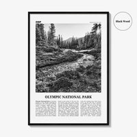 Olympic National Park Print Black and White, Olympic Wall Art, Olympic Poster, Olympic Photo, Olympic Wall Décor, Washington, USA