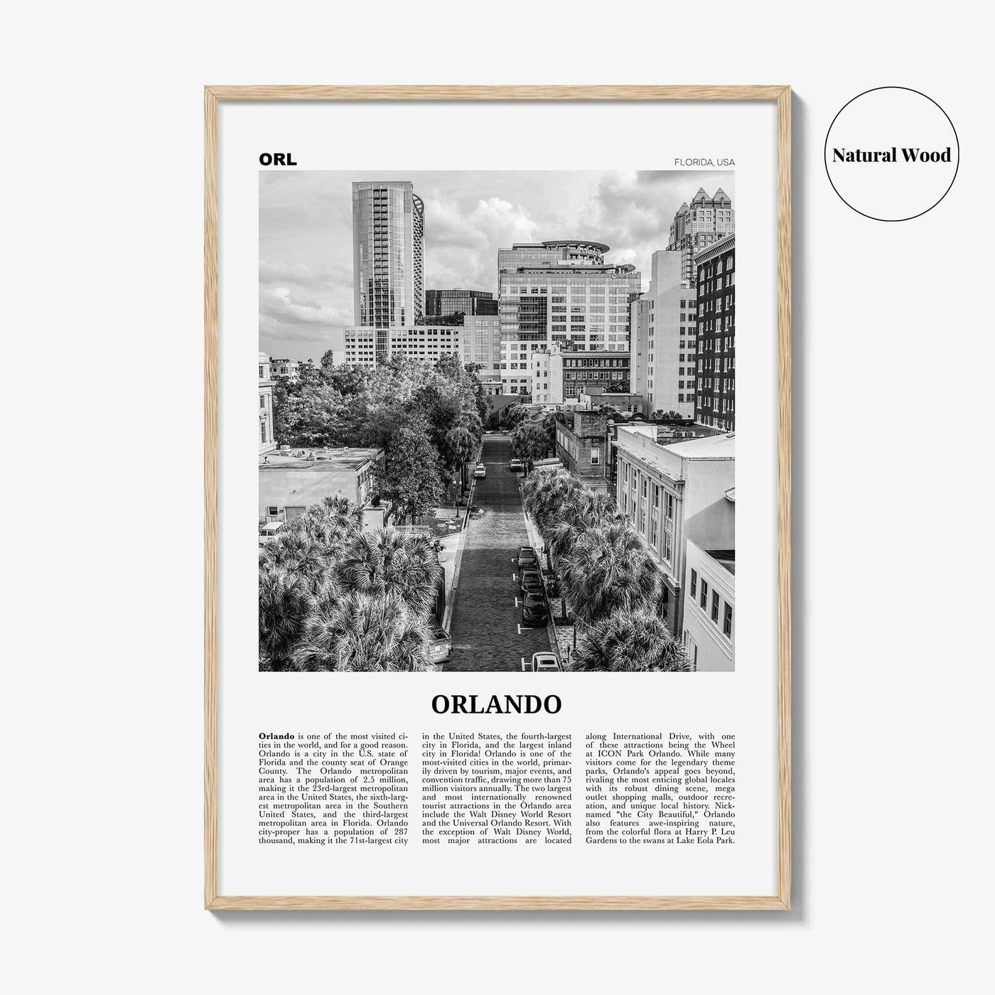 Orlando Print Black and White No 3, Orlando Wall Art, Orlando Poster, Orlando Photo, Orlando Wall Decor, Florida USA United States