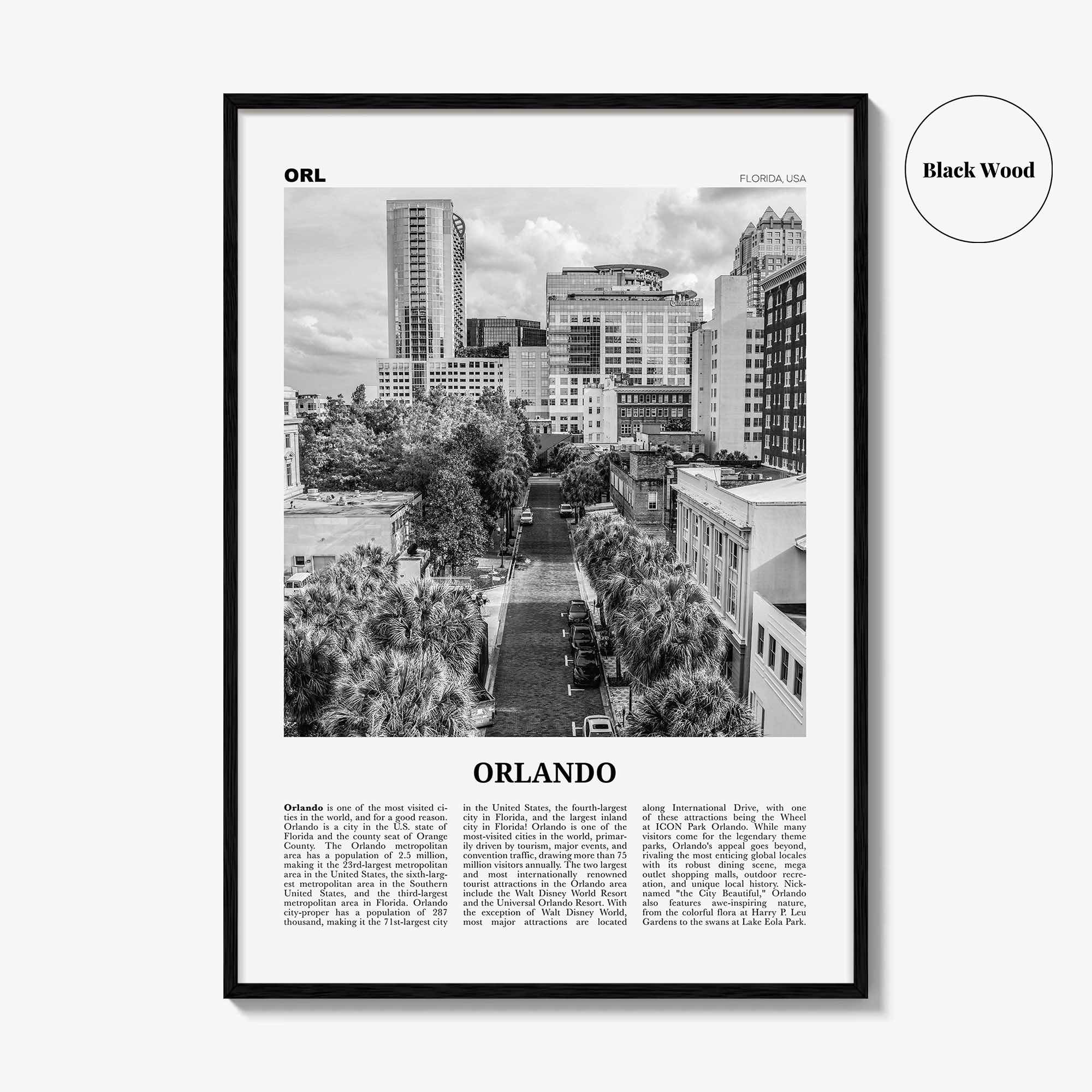 Orlando Print Black and White No 3, Orlando Wall Art, Orlando Poster, Orlando Photo, Orlando Wall Decor, Florida USA United States