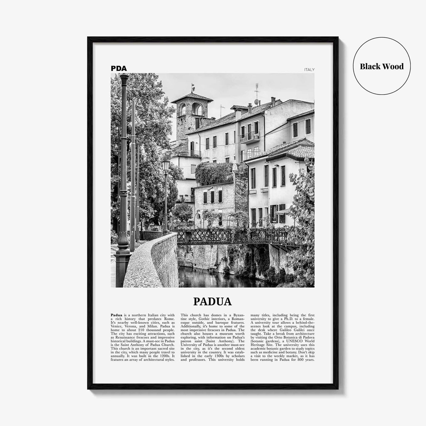 Padua Print Black and White, Padua Wall Art, Padua Poster, Padua Photo, Padua Wall Décor, Padua Map, Italy