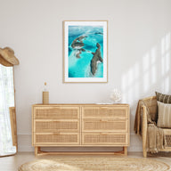 Palau, Oceania Photo Color Poster