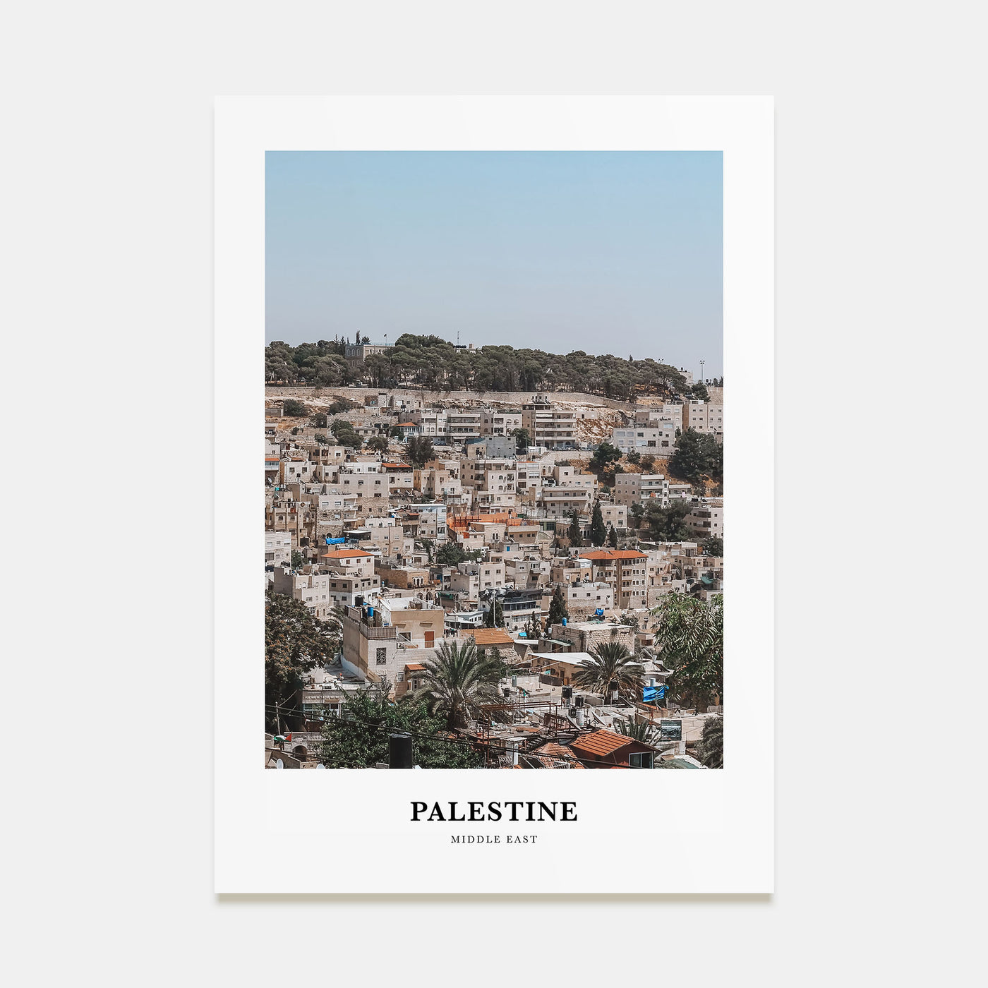 Palestine Portrait Color No 2 Poster