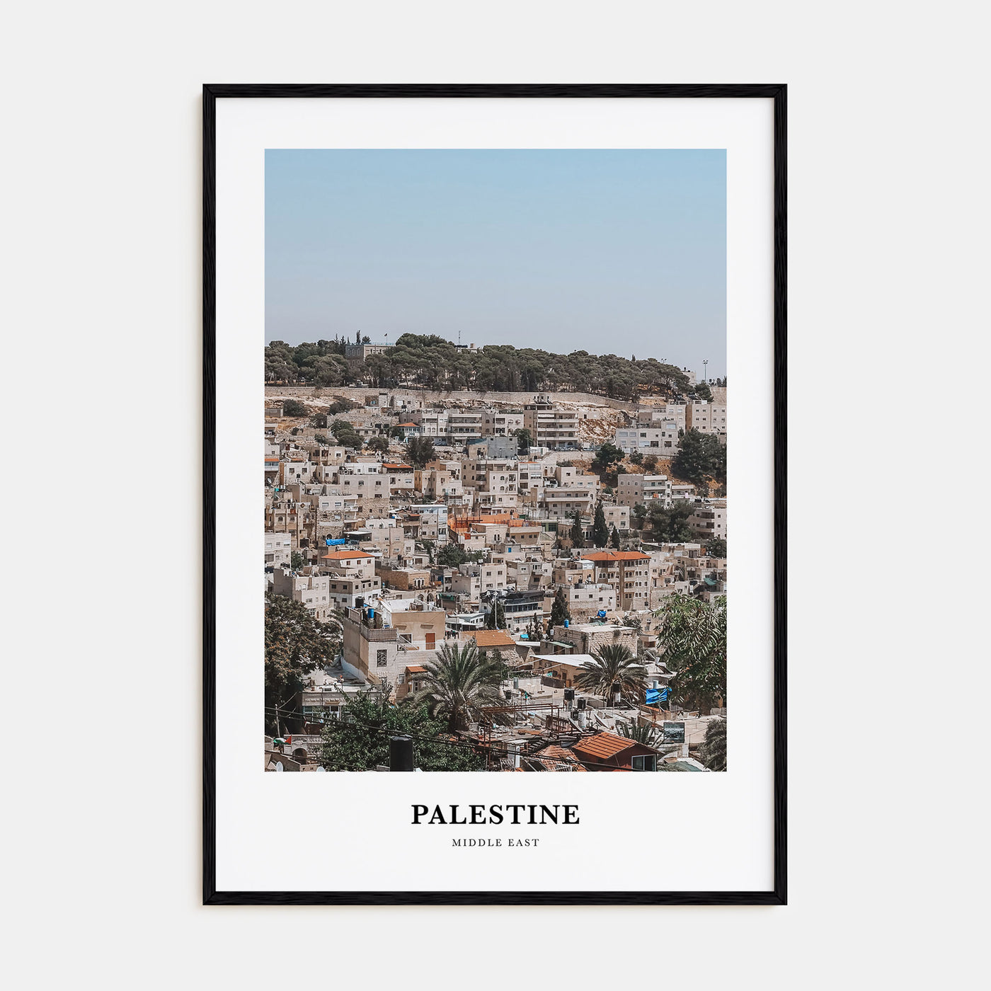 Palestine Portrait Color No 2 Poster