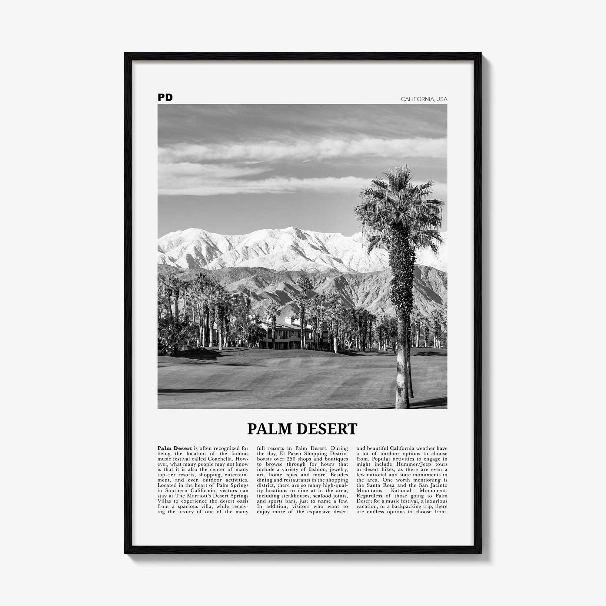 Palm Desert Print Black and White, Palm Desert Wall Art, Palm Desert Poster, Palm Desert Photo, Palm Desert Wall Décor, California, USA