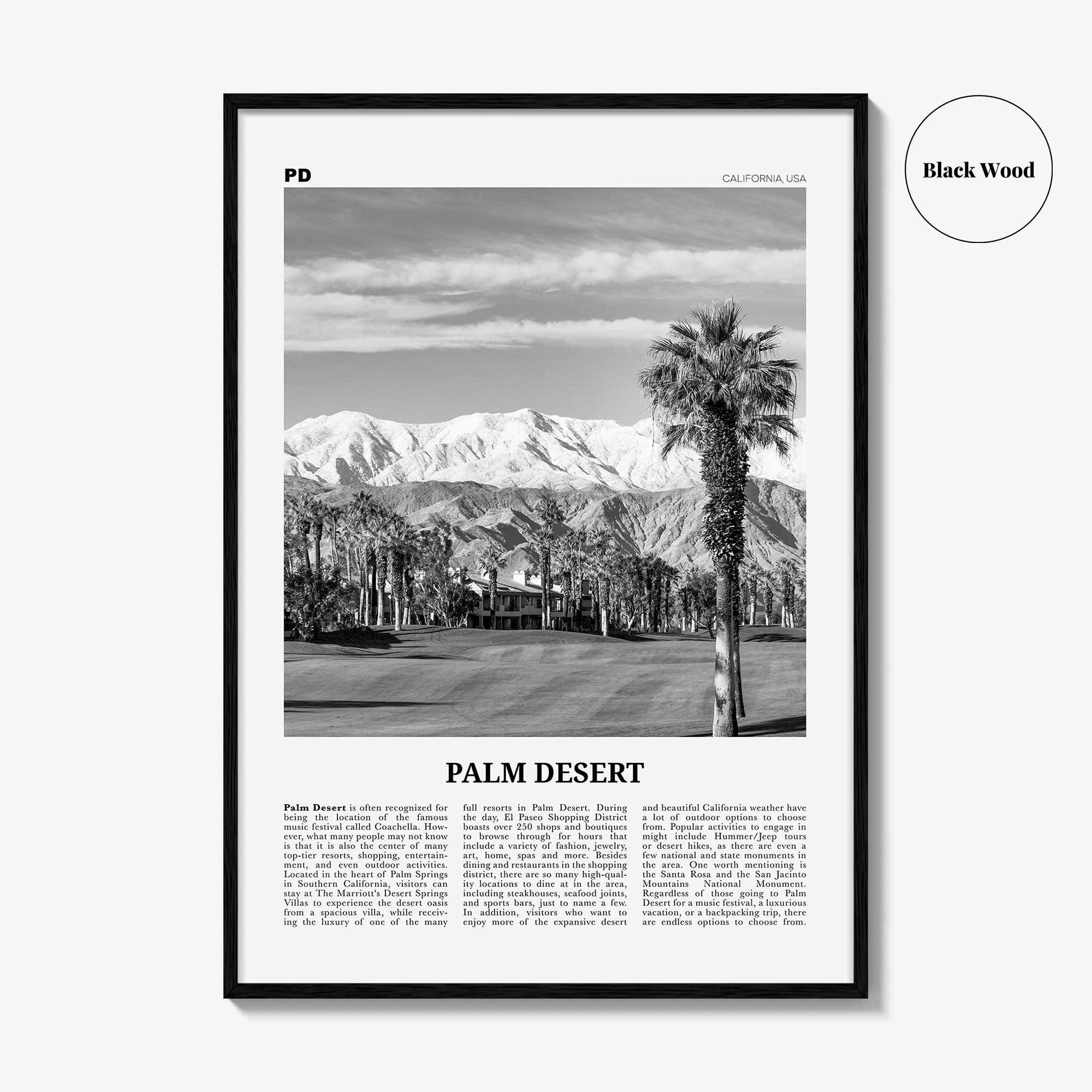 Palm Desert Print Black and White, Palm Desert Wall Art, Palm Desert Poster, Palm Desert Photo, Palm Desert Wall Décor, California, USA