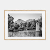 Palm Springs Landscape B&W Poster