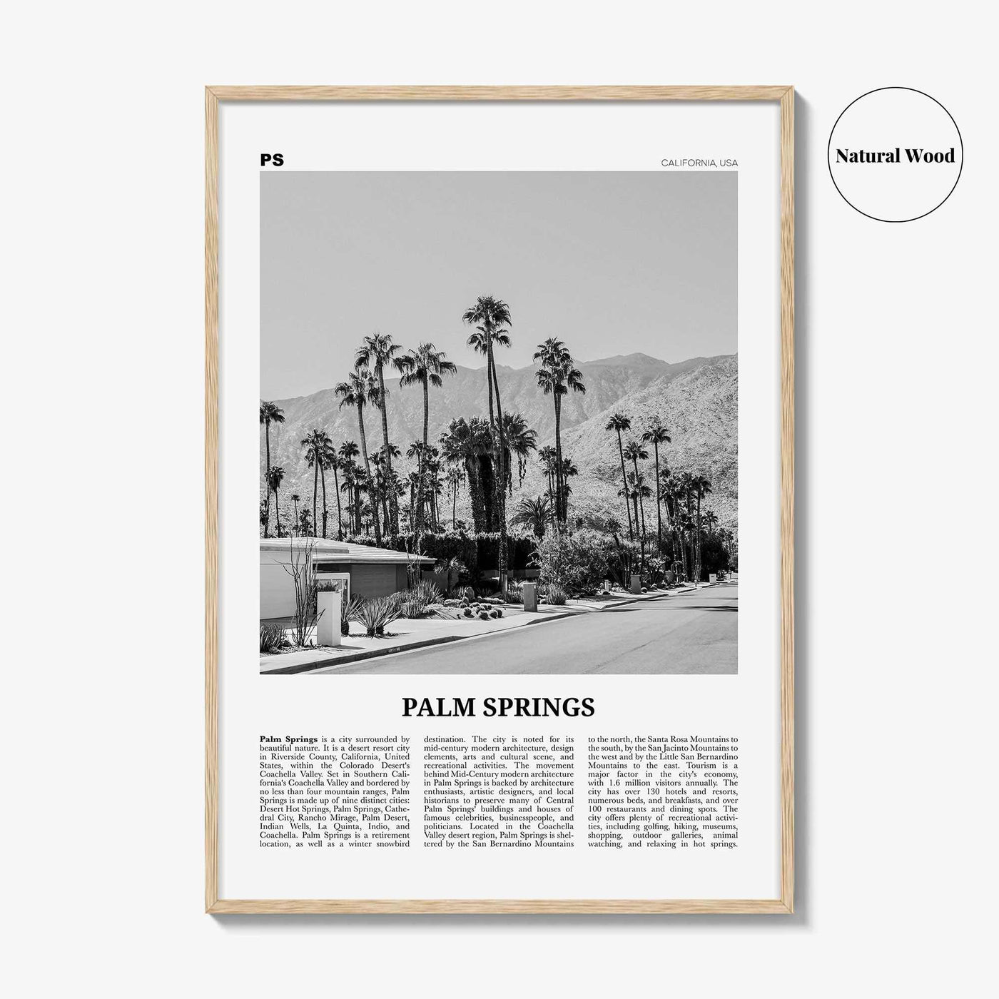 Palm Springs Print Black and White No 1, Palm Springs Wall Art, Palm Springs Poster, Palm Springs, California, USA, United States