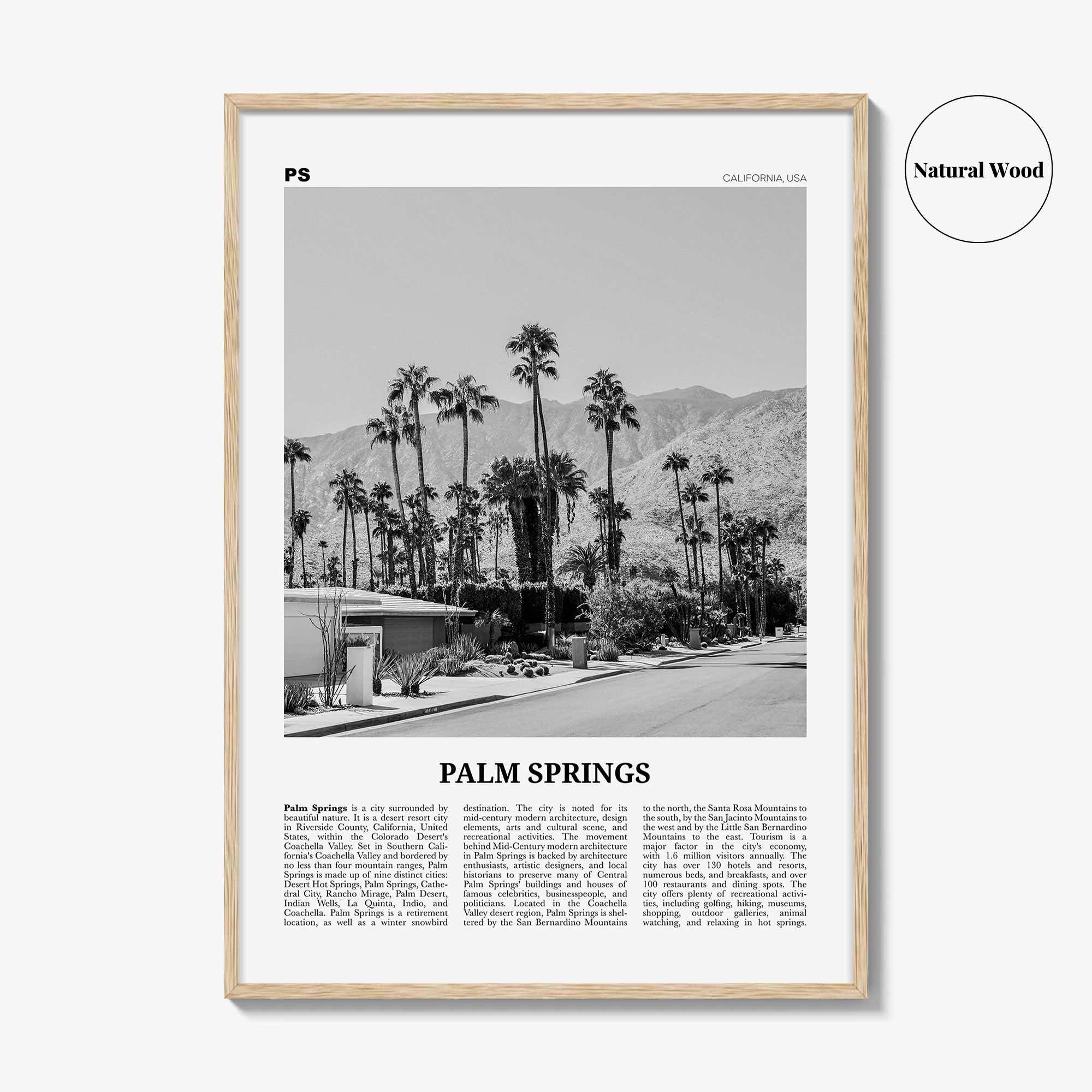 Palm Springs Print Black and White No 1, Palm Springs Wall Art, Palm Springs Poster, Palm Springs, California, USA, United States