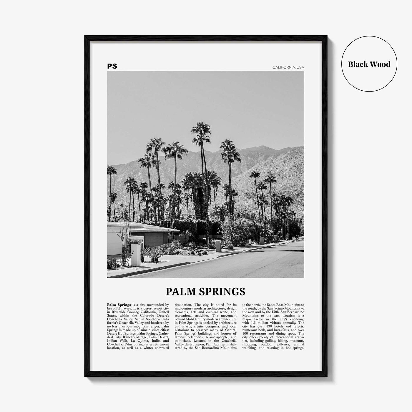 Palm Springs Print Black and White No 1, Palm Springs Wall Art, Palm Springs Poster, Palm Springs, California, USA, United States