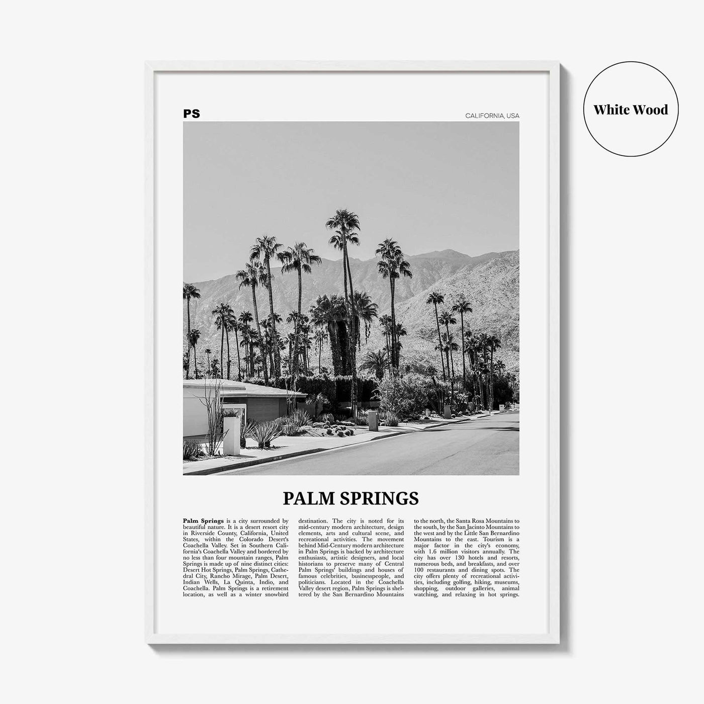 Palm Springs Print Black and White No 1, Palm Springs Wall Art, Palm Springs Poster, Palm Springs, California, USA, United States
