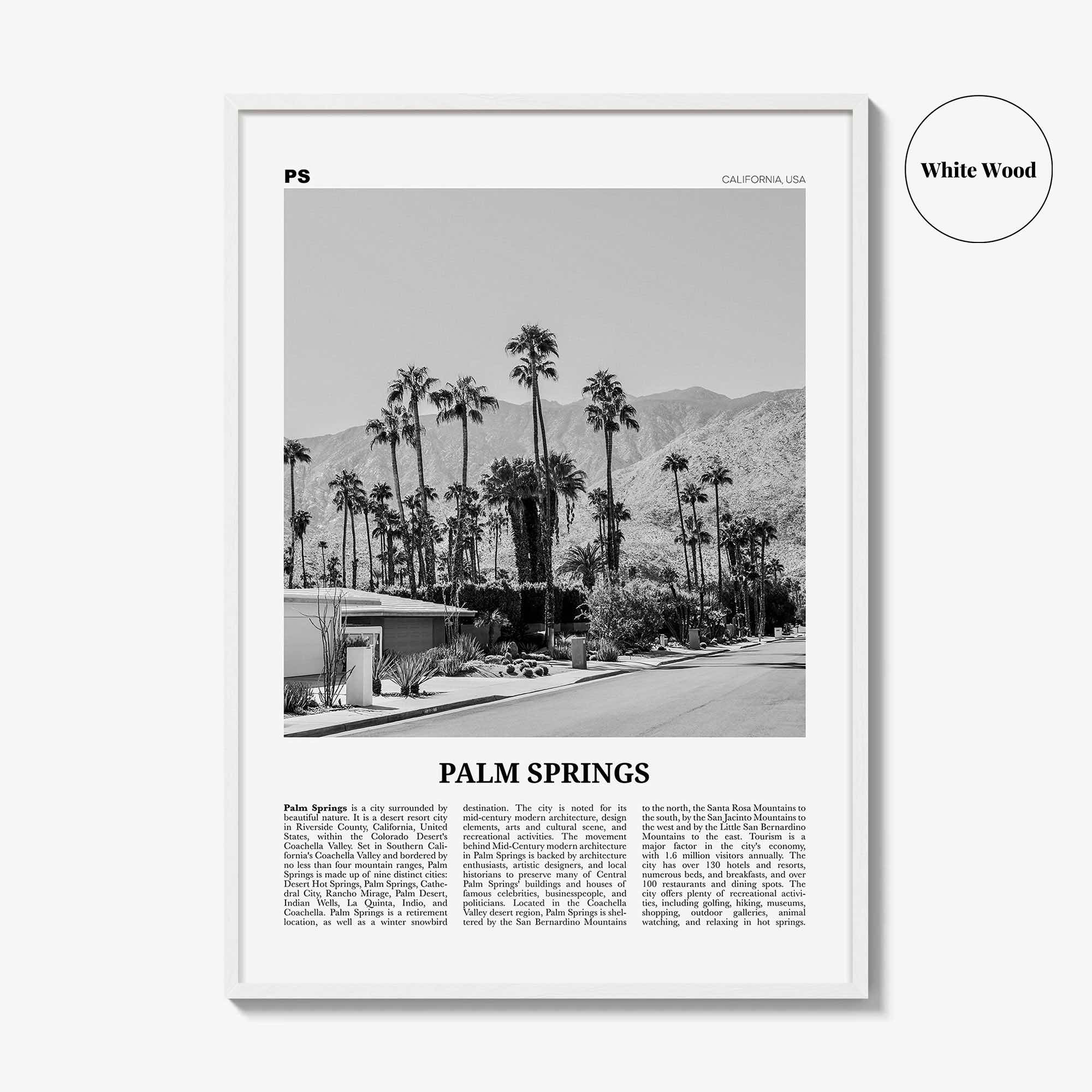 Palm Springs Print Black and White No 1, Palm Springs Wall Art, Palm Springs Poster, Palm Springs, California, USA, United States