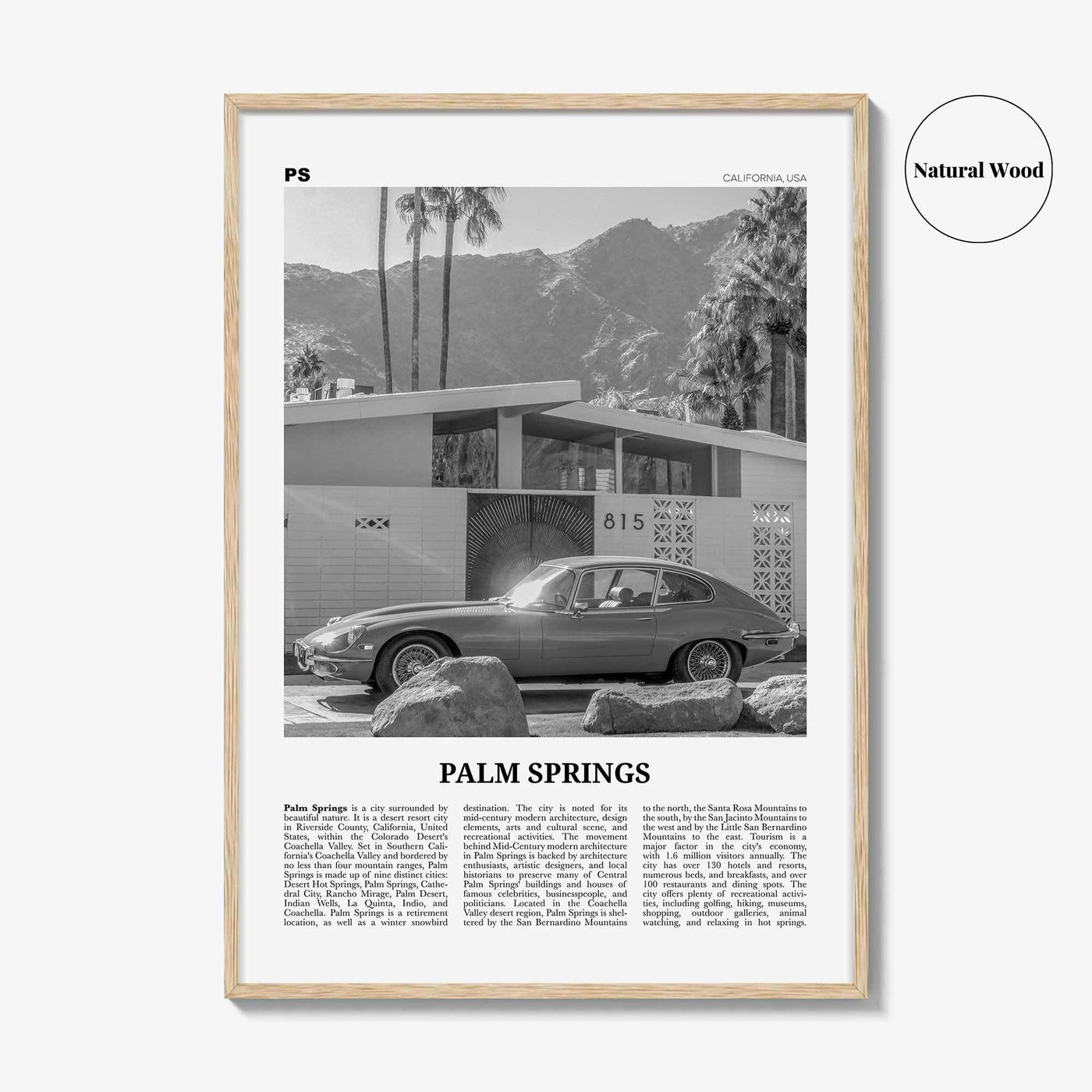 Palm Springs Print Black and White No 2, Palm Springs Wall Art, Palm Springs Poster, Palm Springs, California, USA, United States