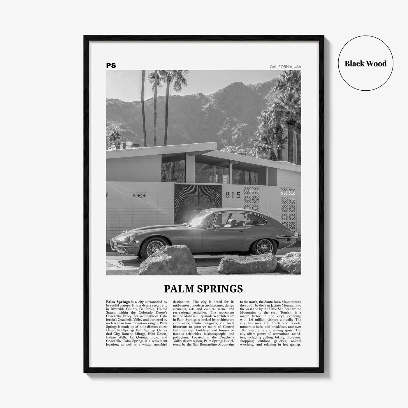 Palm Springs Print Black and White No 2, Palm Springs Wall Art, Palm Springs Poster, Palm Springs, California, USA, United States