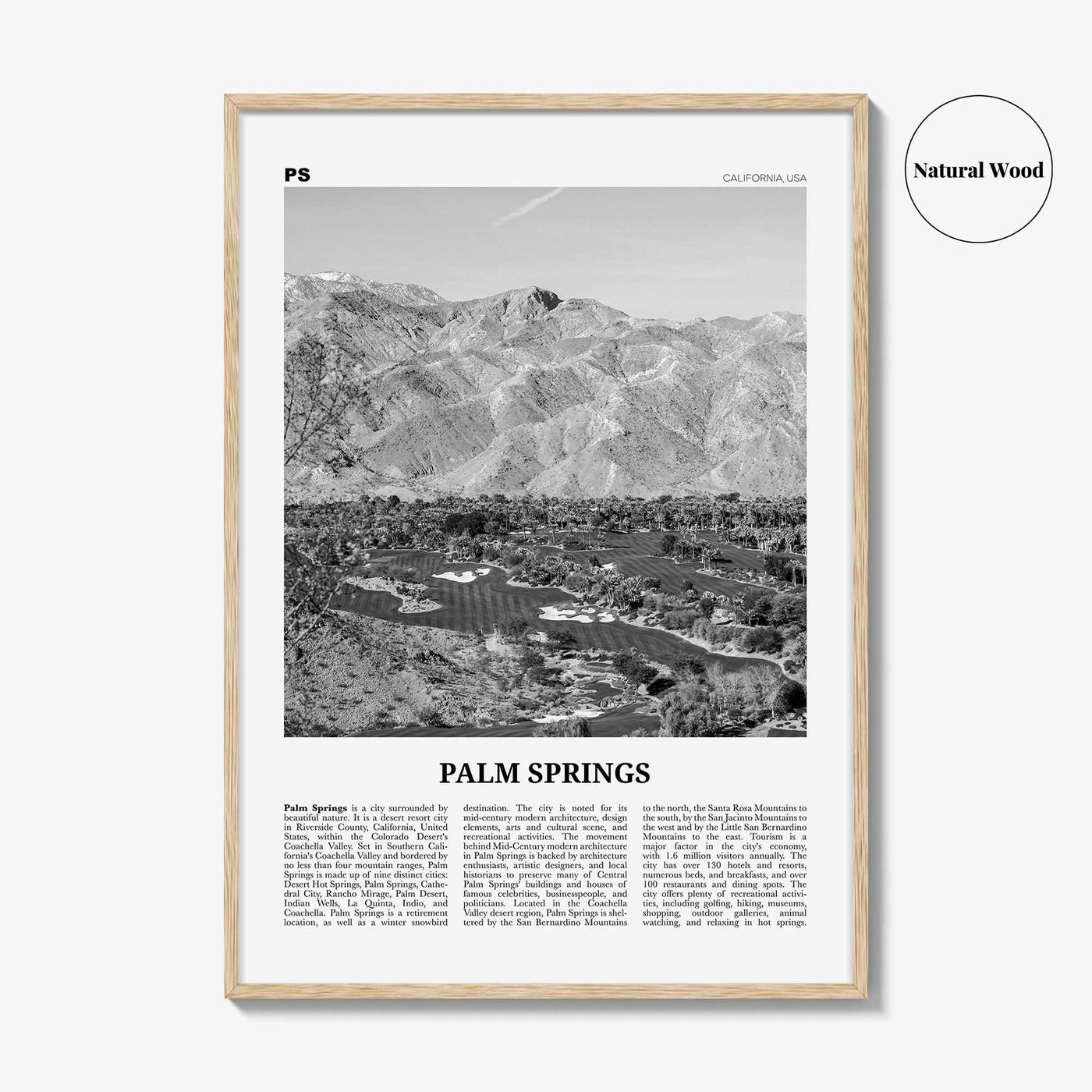 Palm Springs Print Black and White No 3, Palm Springs Wall Art, Palm Springs Poster, Palm Springs, California, USA, United States